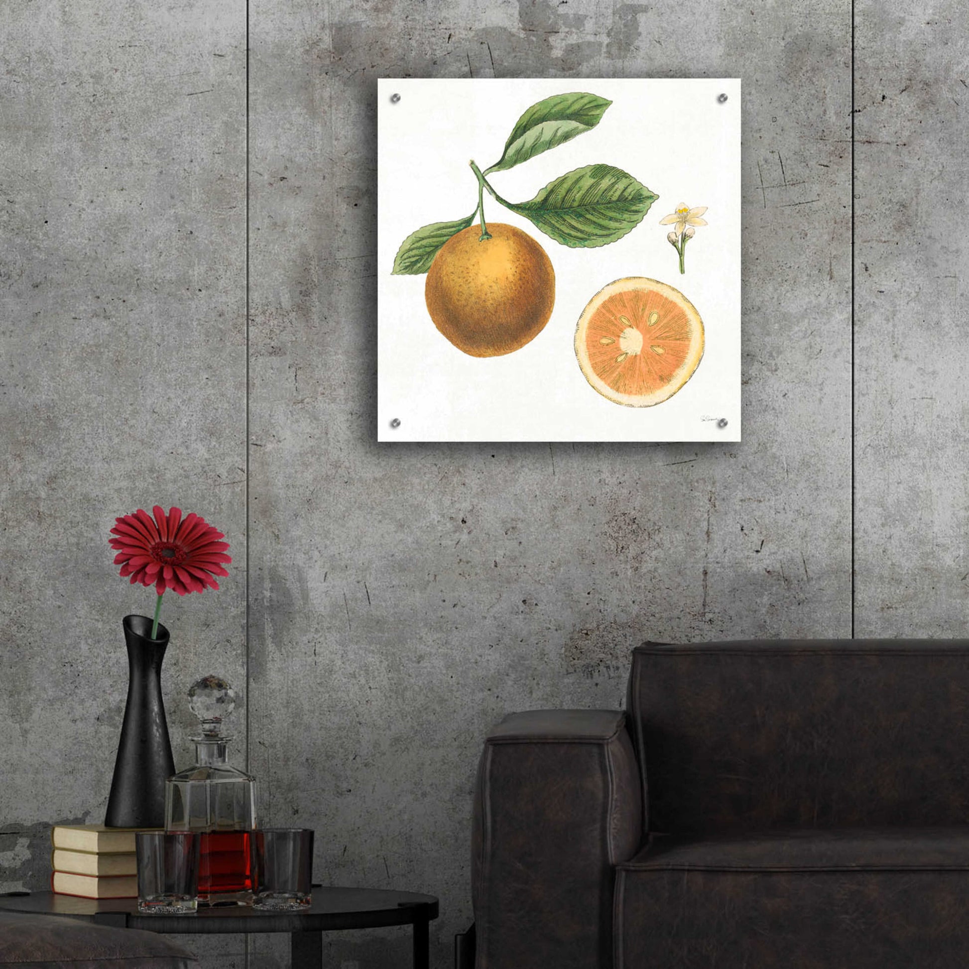 Epic Art 'Classic Citrus IV' by Sue Schlabach, Acrylic Glass Wall Art,24x24