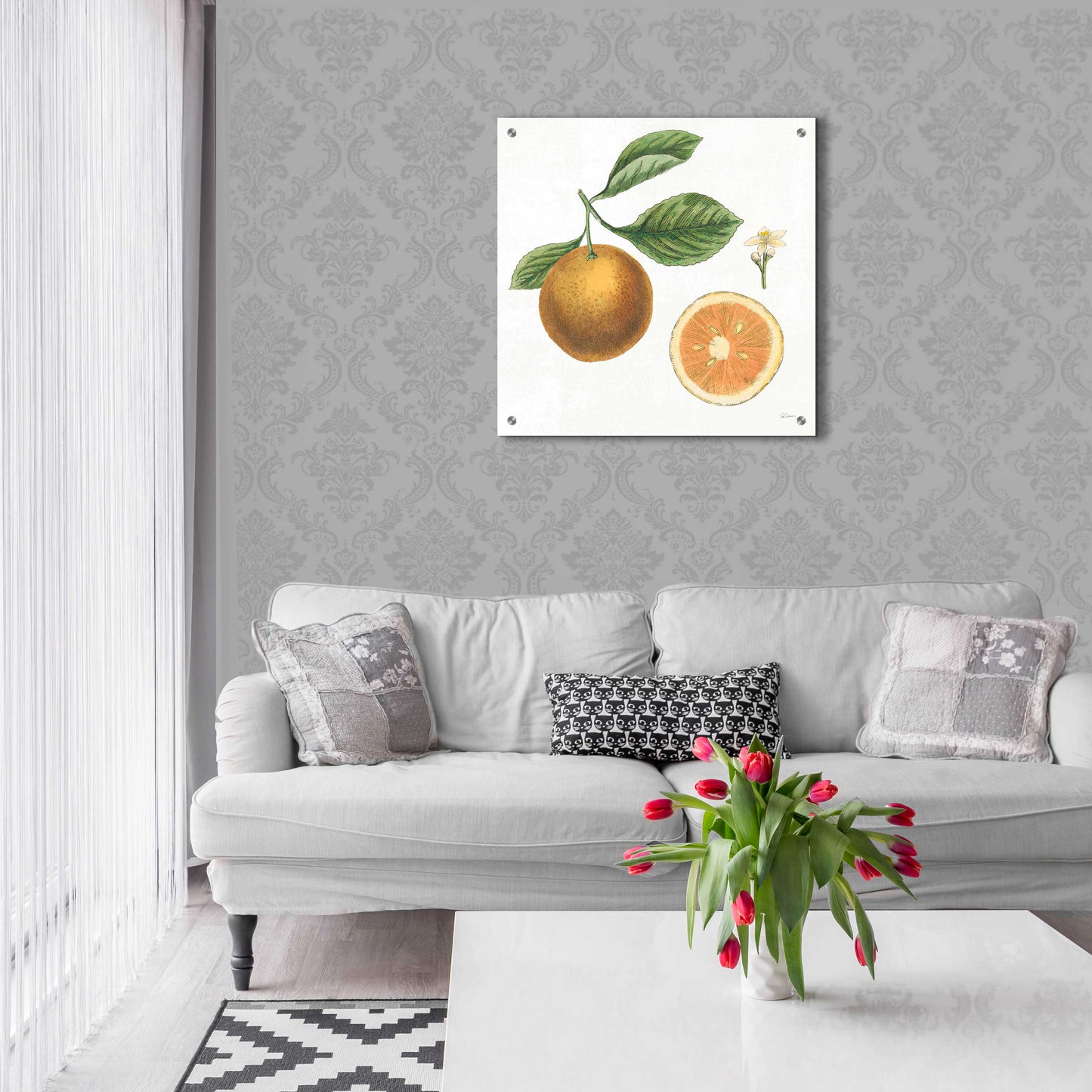 Epic Art 'Classic Citrus IV' by Sue Schlabach, Acrylic Glass Wall Art,24x24