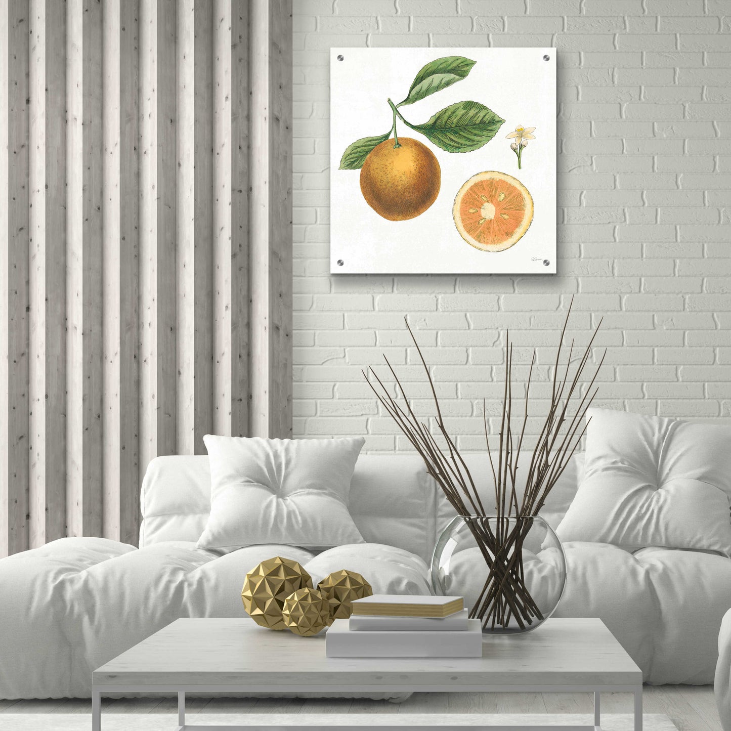 Epic Art 'Classic Citrus IV' by Sue Schlabach, Acrylic Glass Wall Art,24x24