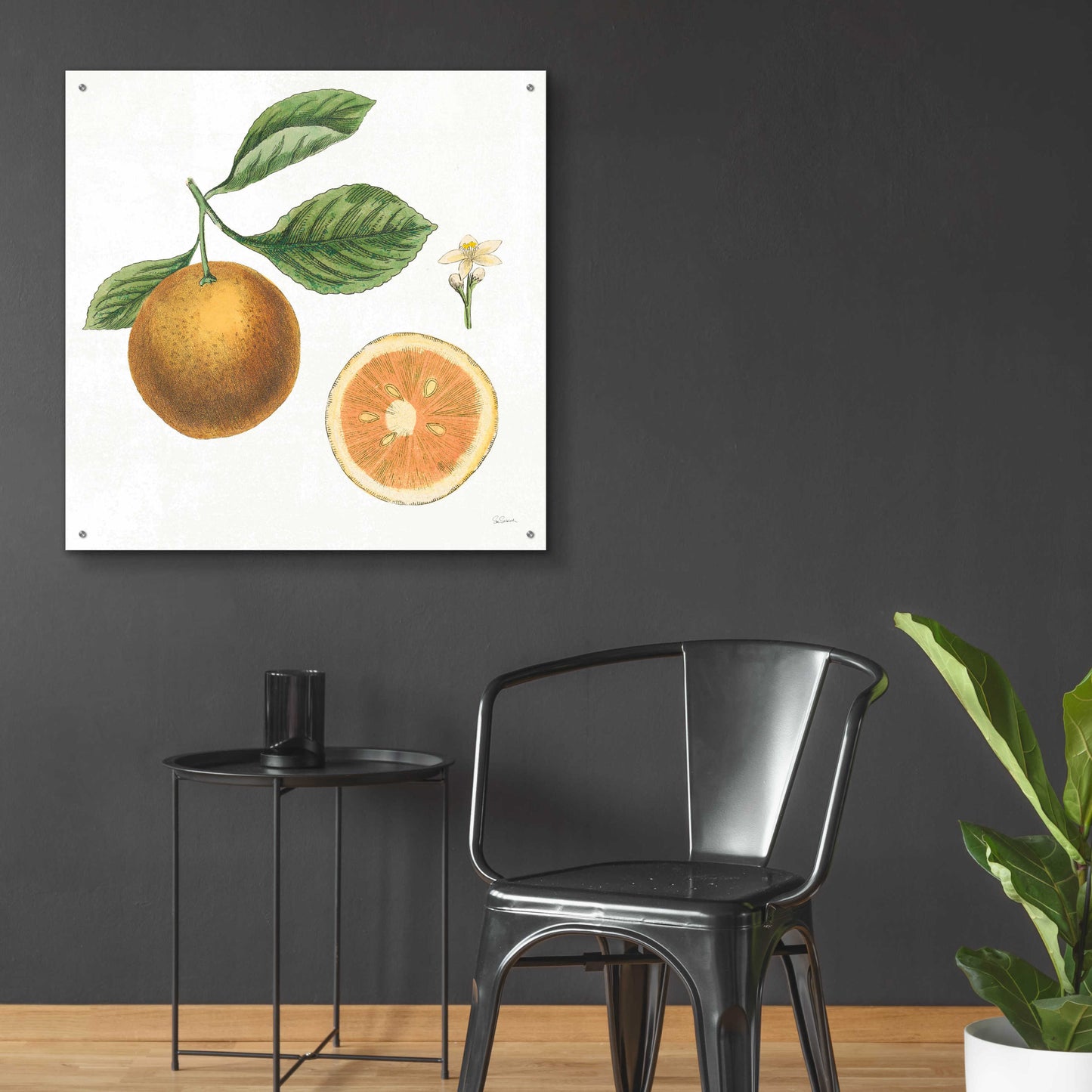 Epic Art 'Classic Citrus IV' by Sue Schlabach, Acrylic Glass Wall Art,36x36