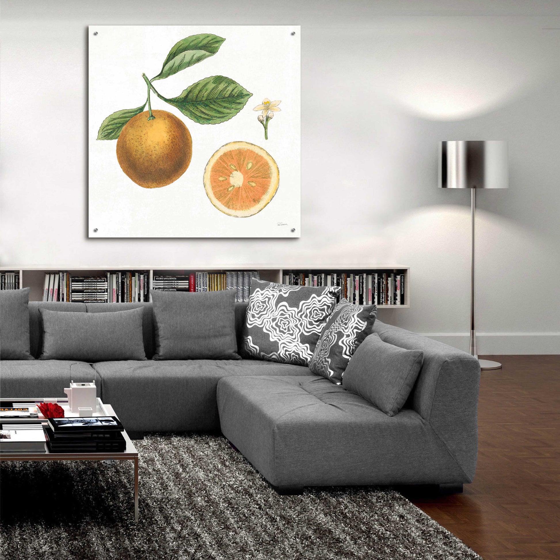 Epic Art 'Classic Citrus IV' by Sue Schlabach, Acrylic Glass Wall Art,36x36