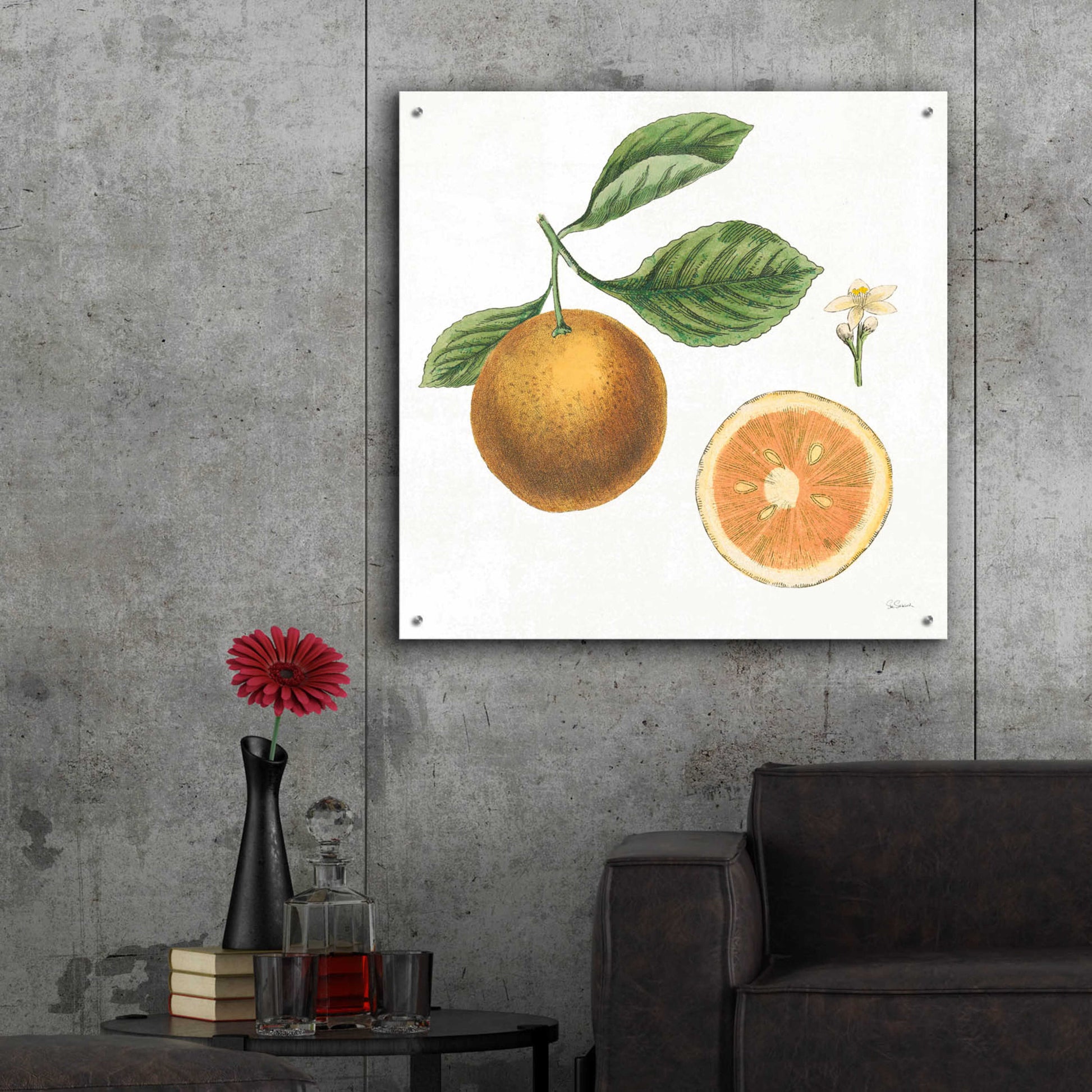 Epic Art 'Classic Citrus IV' by Sue Schlabach, Acrylic Glass Wall Art,36x36