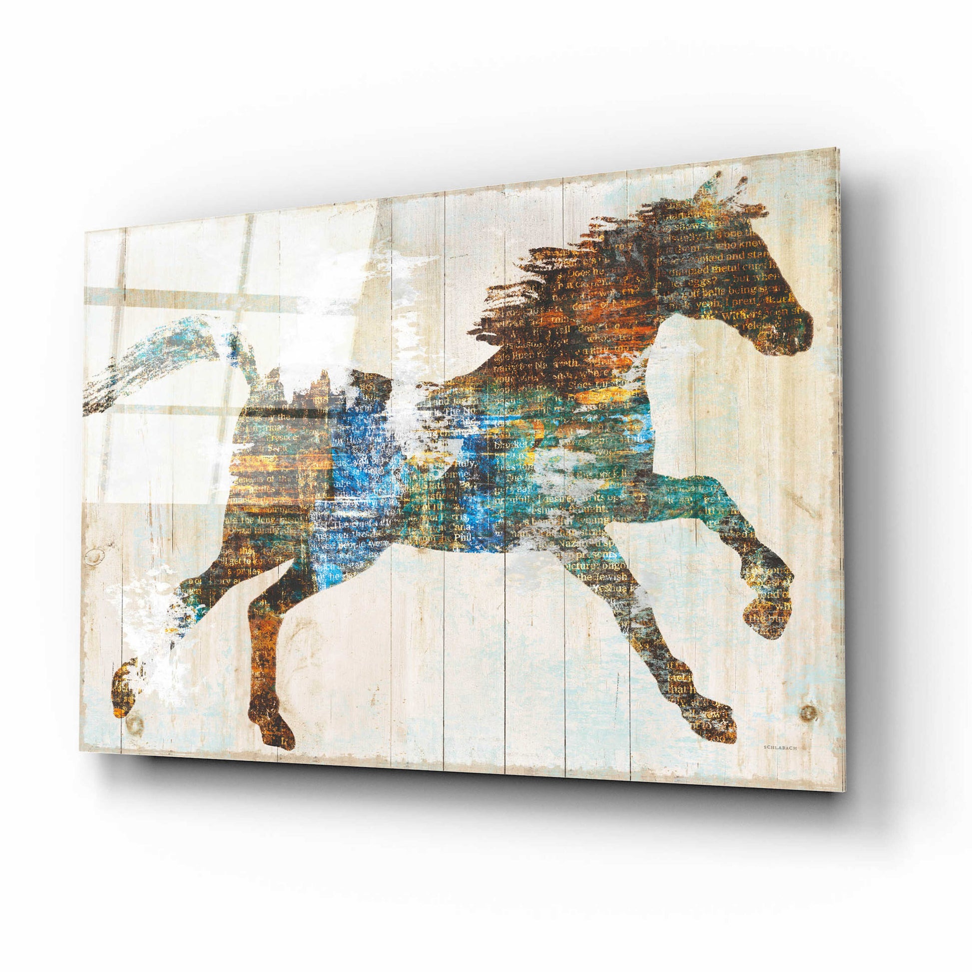 Epic Art 'Free Spirit I Crop' by Sue Schlabach, Acrylic Glass Wall Art,16x12