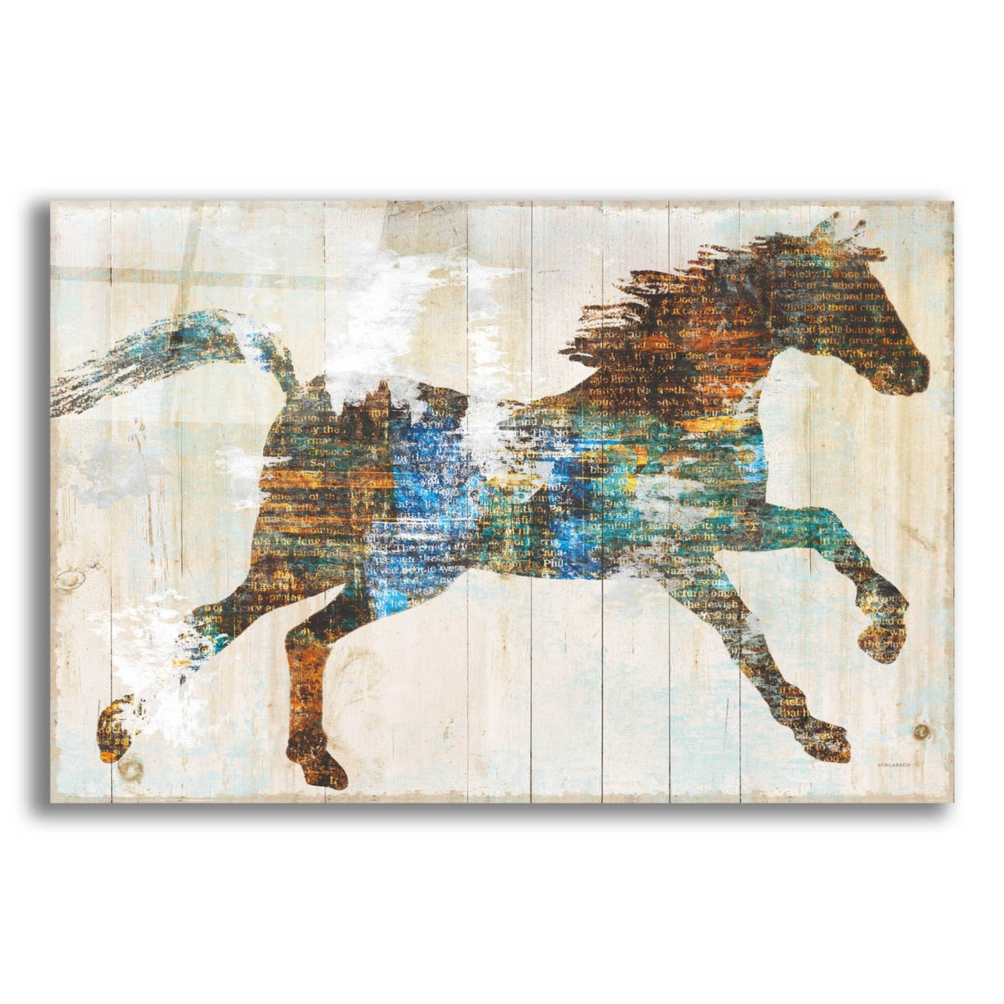 Epic Art 'Free Spirit I Crop' by Sue Schlabach, Acrylic Glass Wall Art,16x12