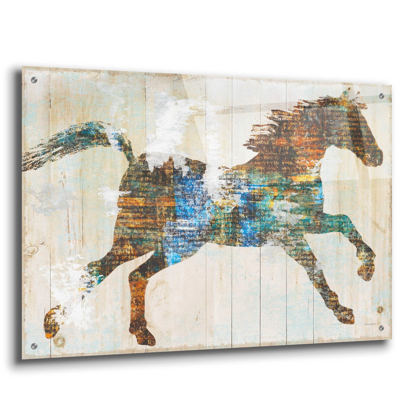 Epic Art 'Free Spirit I Crop' by Sue Schlabach, Acrylic Glass Wall Art,36x24