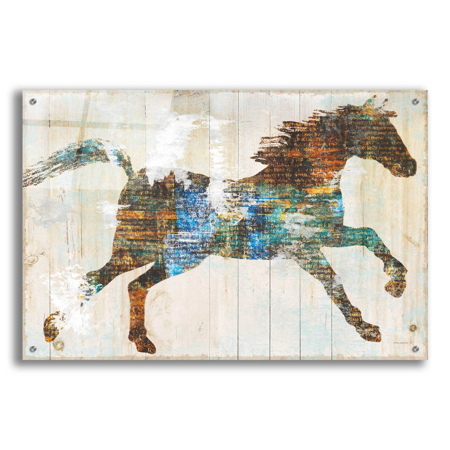 Epic Art 'Free Spirit I Crop' by Sue Schlabach, Acrylic Glass Wall Art,36x24