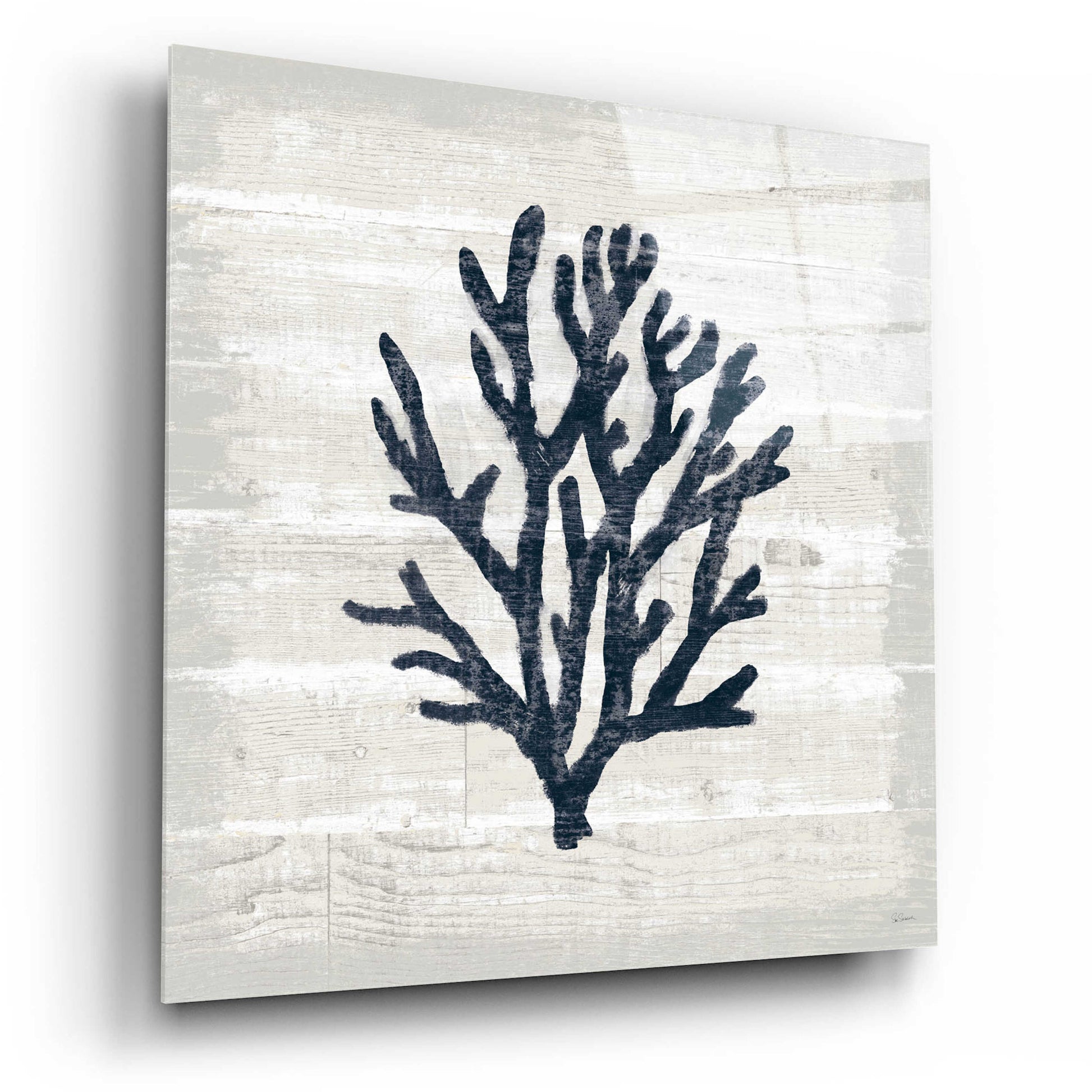 Epic Art 'Driftwood Coast VII Blue' by Sue Schlabach, Acrylic Glass Wall Art,12x12