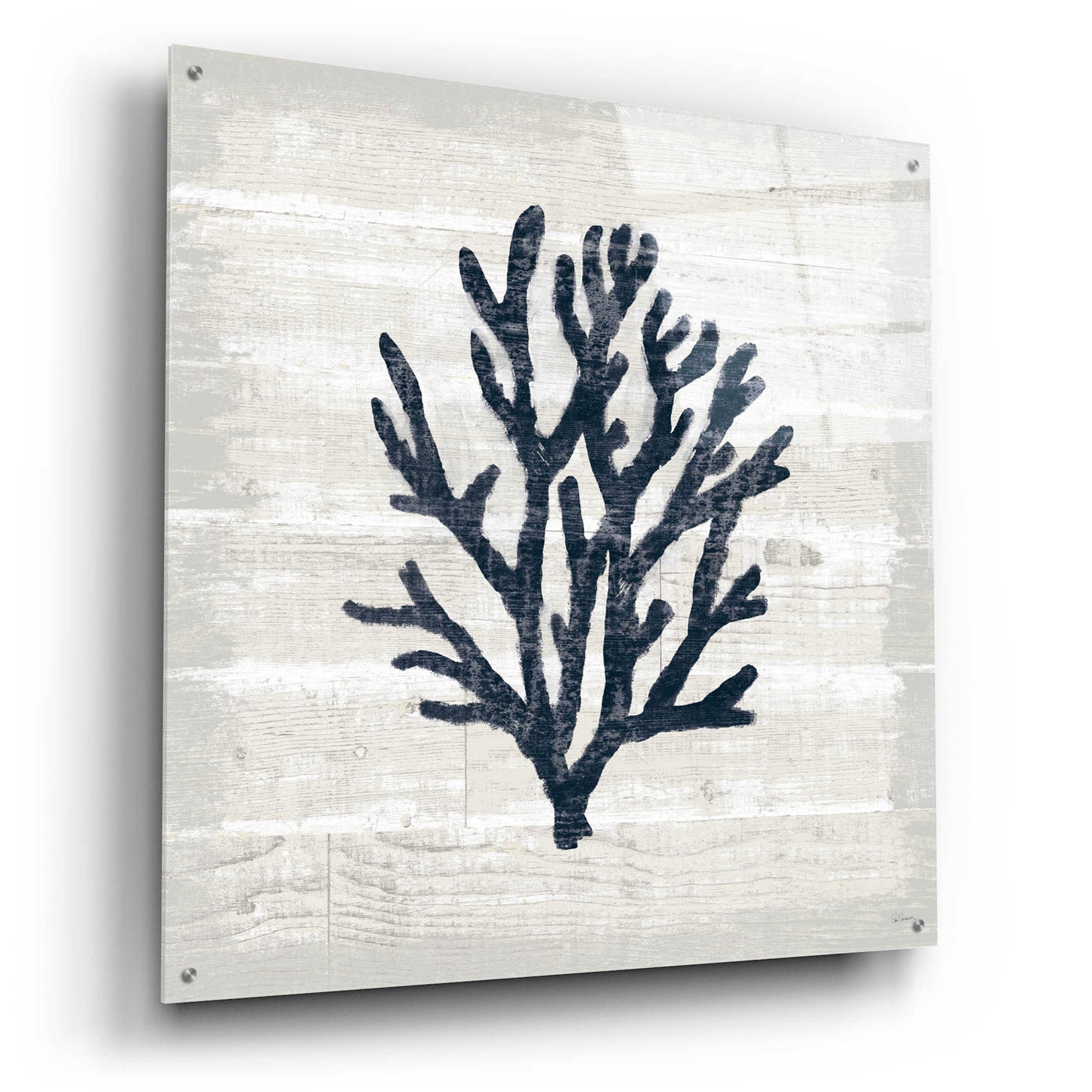 Epic Art 'Driftwood Coast VII Blue' by Sue Schlabach, Acrylic Glass Wall Art,36x36