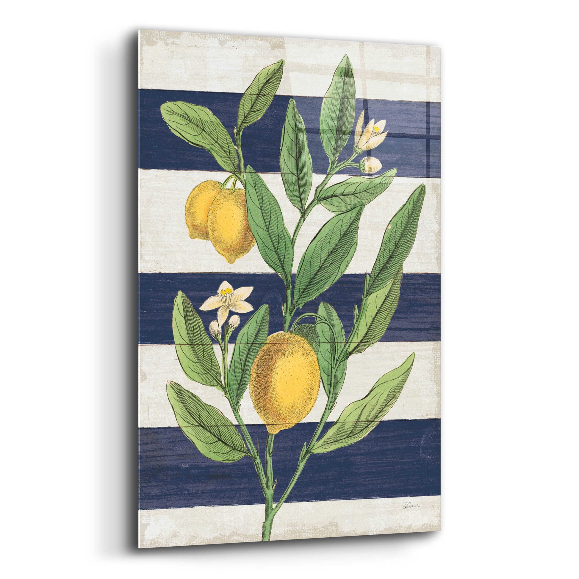 Epic Art 'Classic Citrus V Navy Shiplap NW' by Sue Schlabach, Acrylic Glass Wall Art,12x16