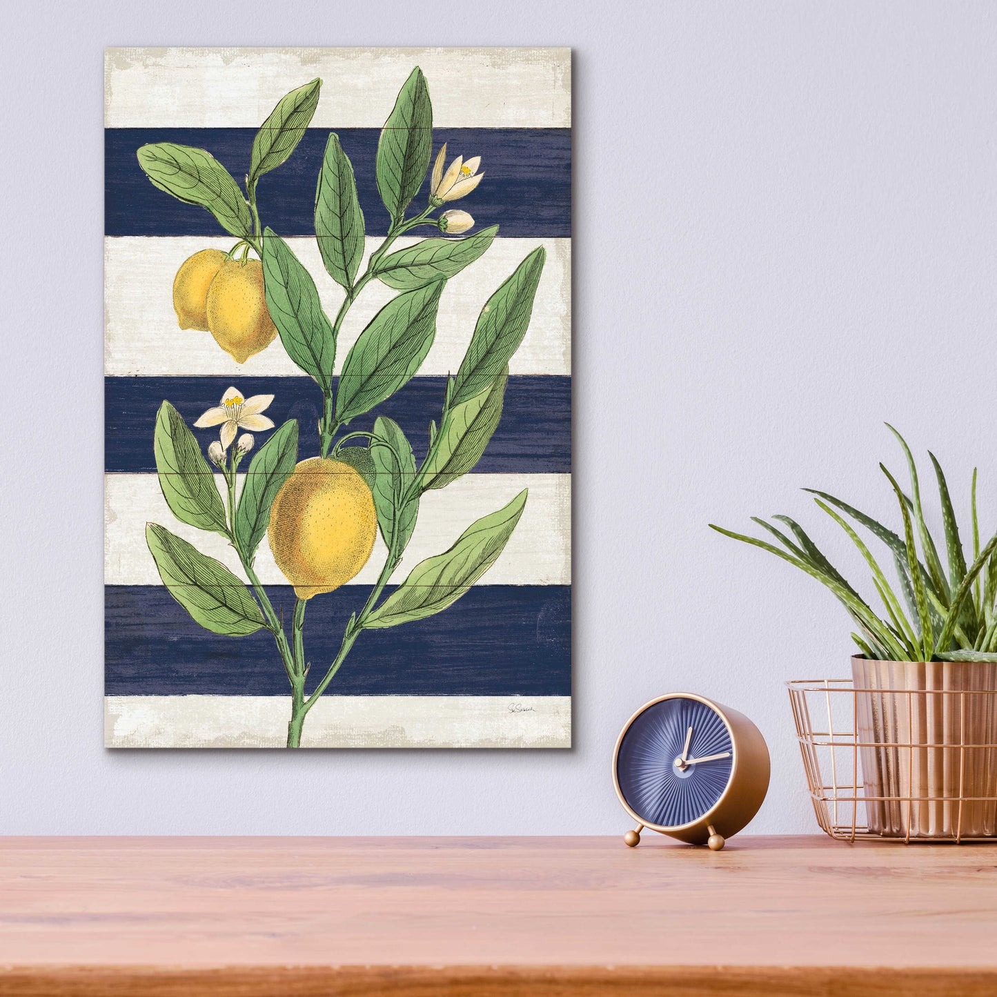 Epic Art 'Classic Citrus V Navy Shiplap NW' by Sue Schlabach, Acrylic Glass Wall Art,12x16