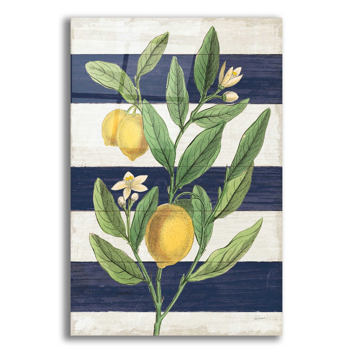 Epic Art 'Classic Citrus V Navy Shiplap NW' by Sue Schlabach, Acrylic Glass Wall Art,12x16