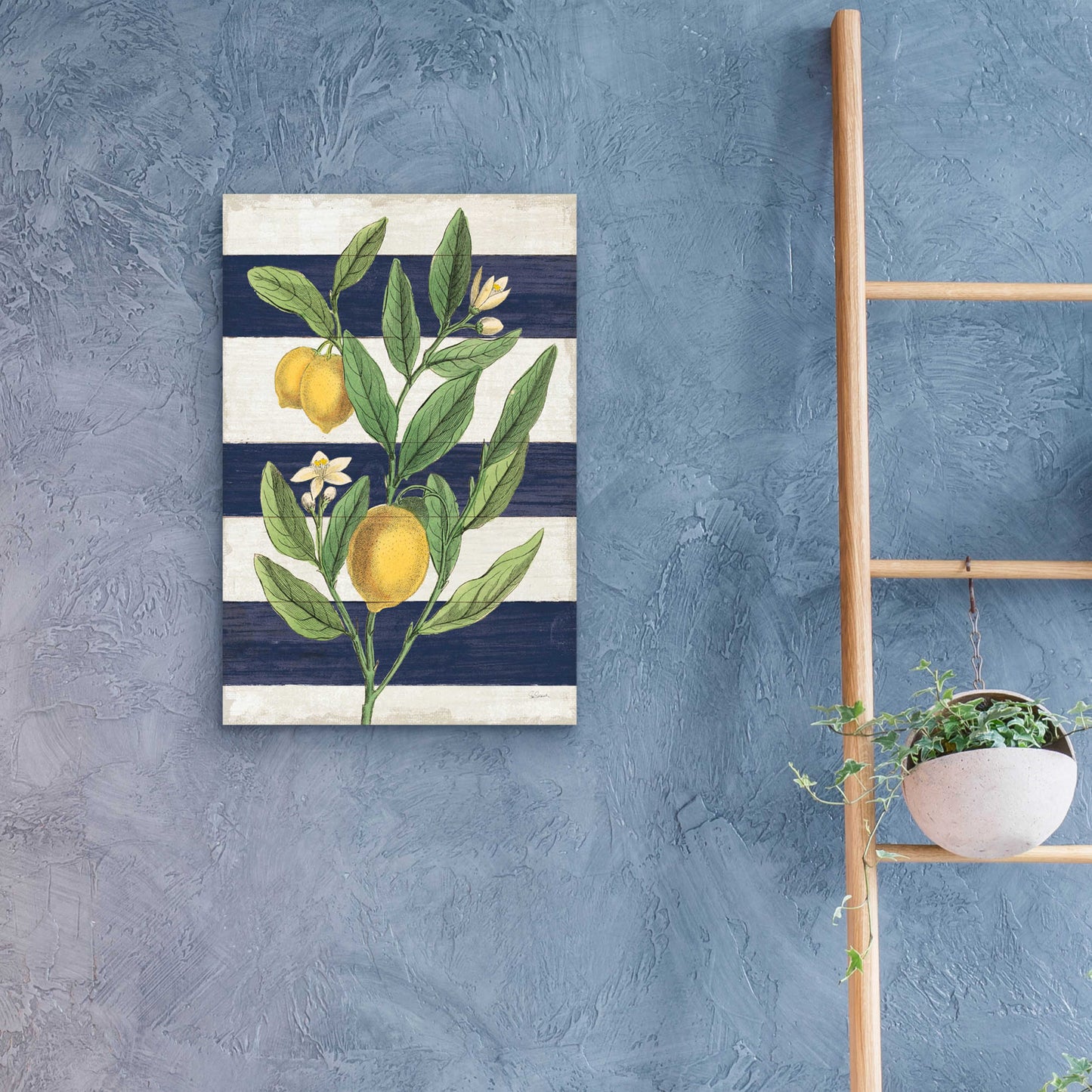 Epic Art 'Classic Citrus V Navy Shiplap NW' by Sue Schlabach, Acrylic Glass Wall Art,16x24