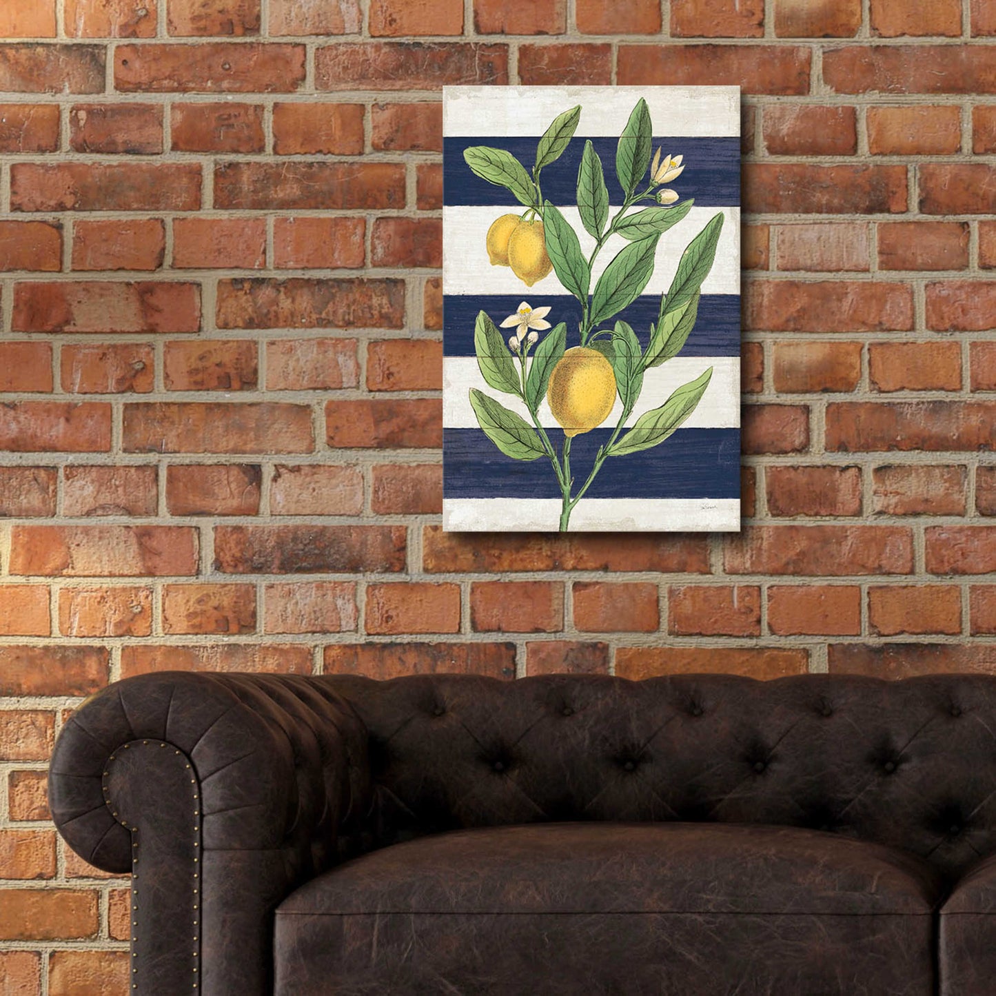 Epic Art 'Classic Citrus V Navy Shiplap NW' by Sue Schlabach, Acrylic Glass Wall Art,16x24