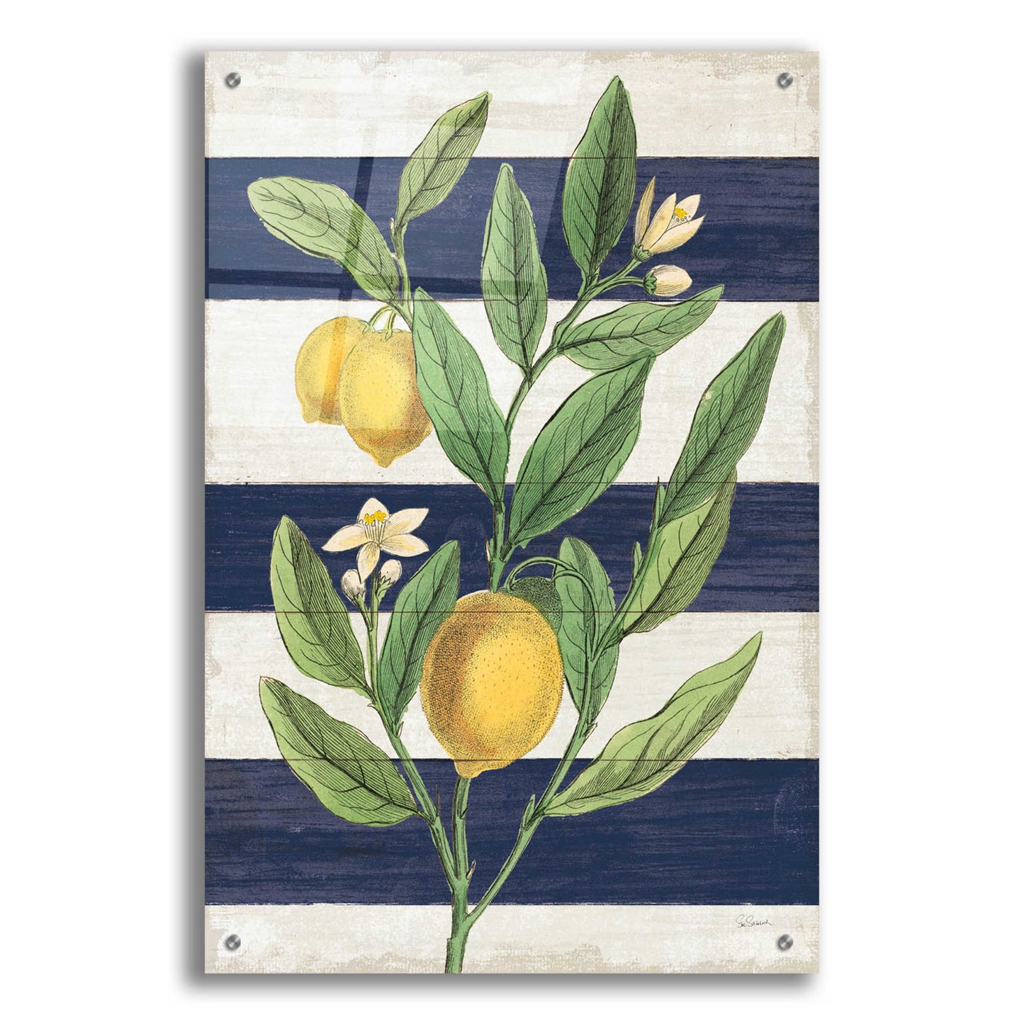 Epic Art 'Classic Citrus V Navy Shiplap NW' by Sue Schlabach, Acrylic Glass Wall Art,24x36