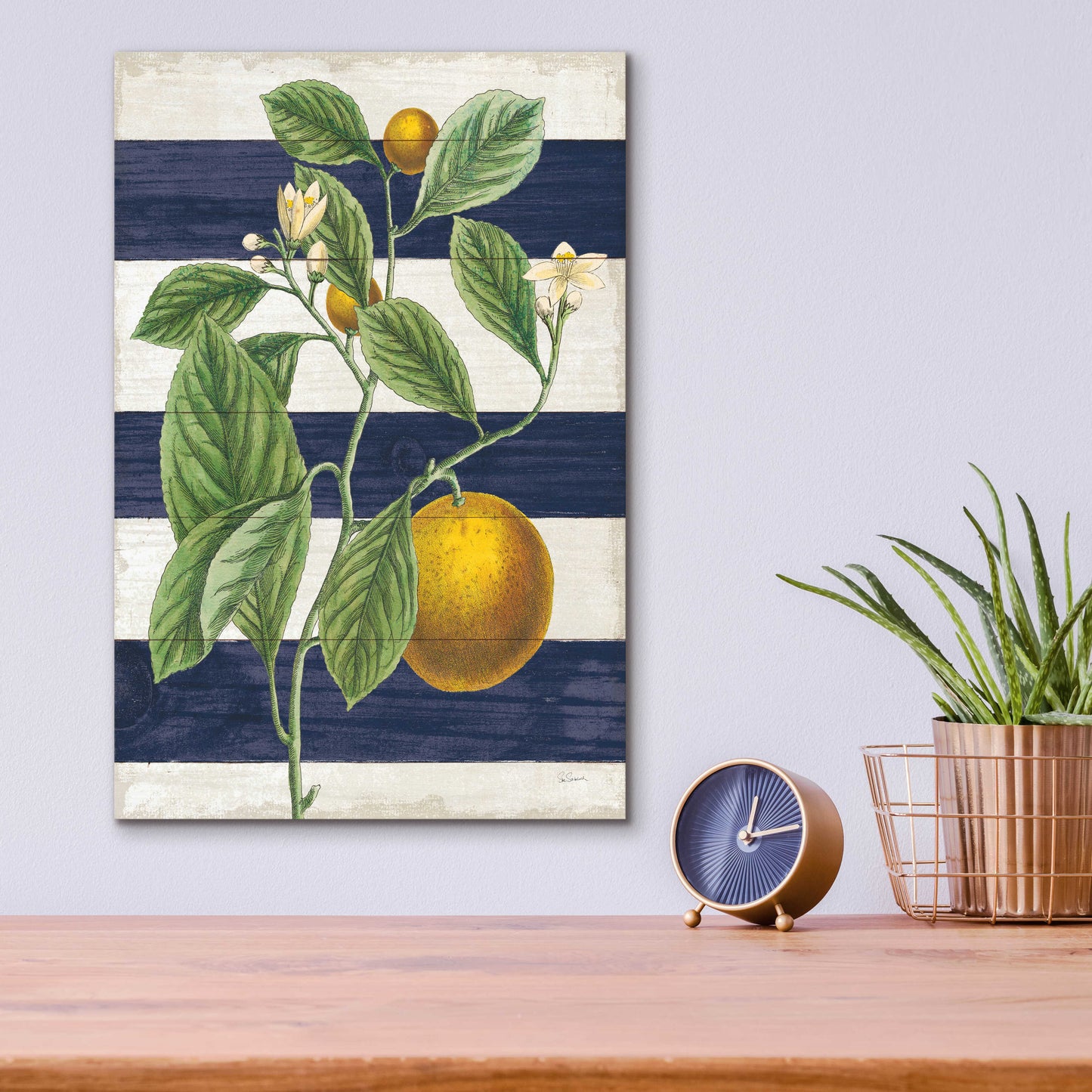 Epic Art 'Classic Citrus VI Navy Shiplap NW' by Sue Schlabach, Acrylic Glass Wall Art,12x16