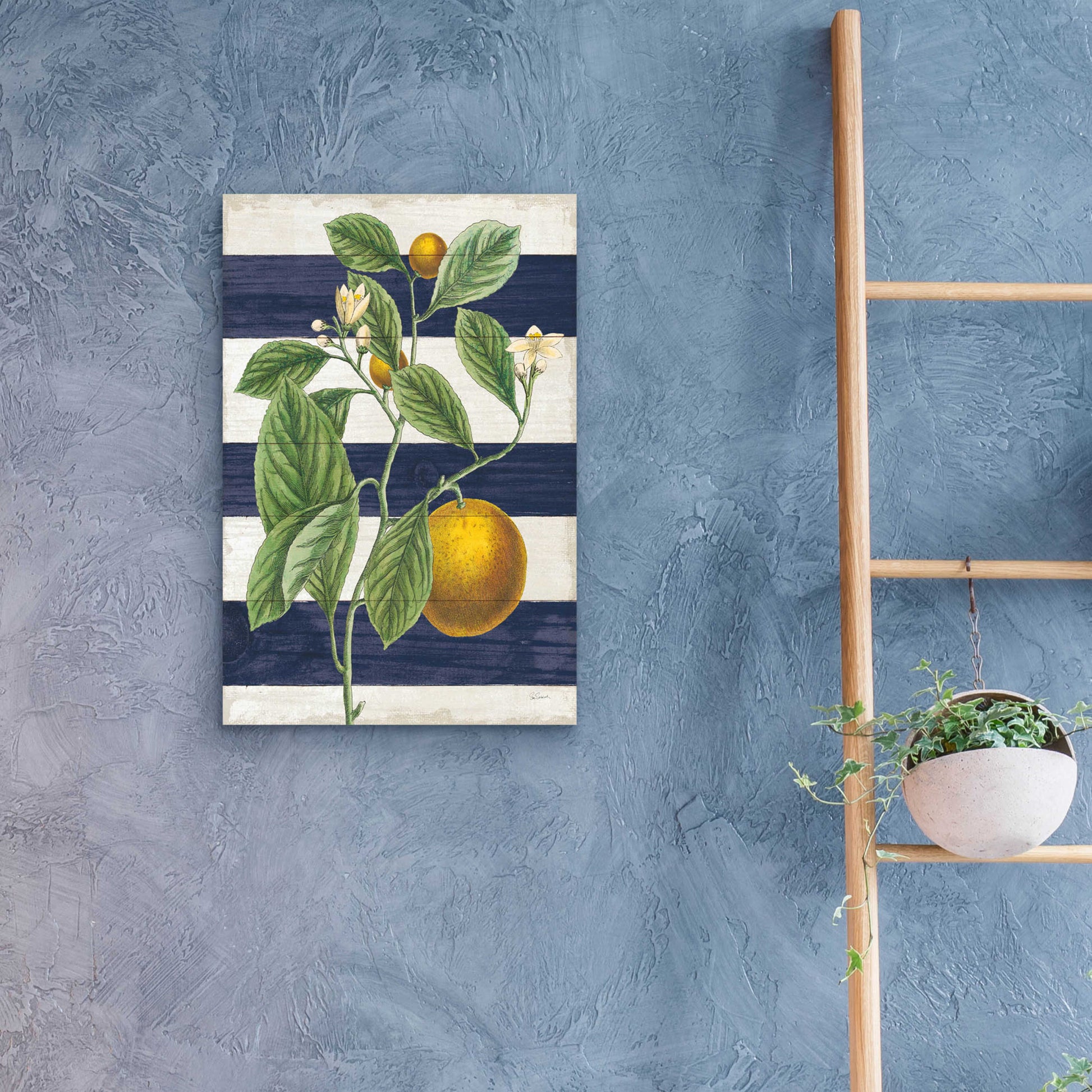 Epic Art 'Classic Citrus VI Navy Shiplap NW' by Sue Schlabach, Acrylic Glass Wall Art,16x24