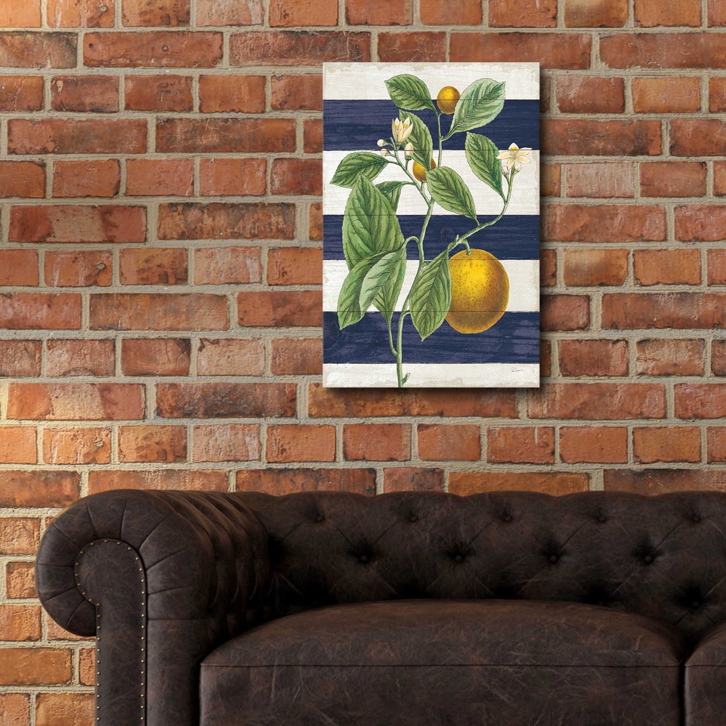 Epic Art 'Classic Citrus VI Navy Shiplap NW' by Sue Schlabach, Acrylic Glass Wall Art,16x24