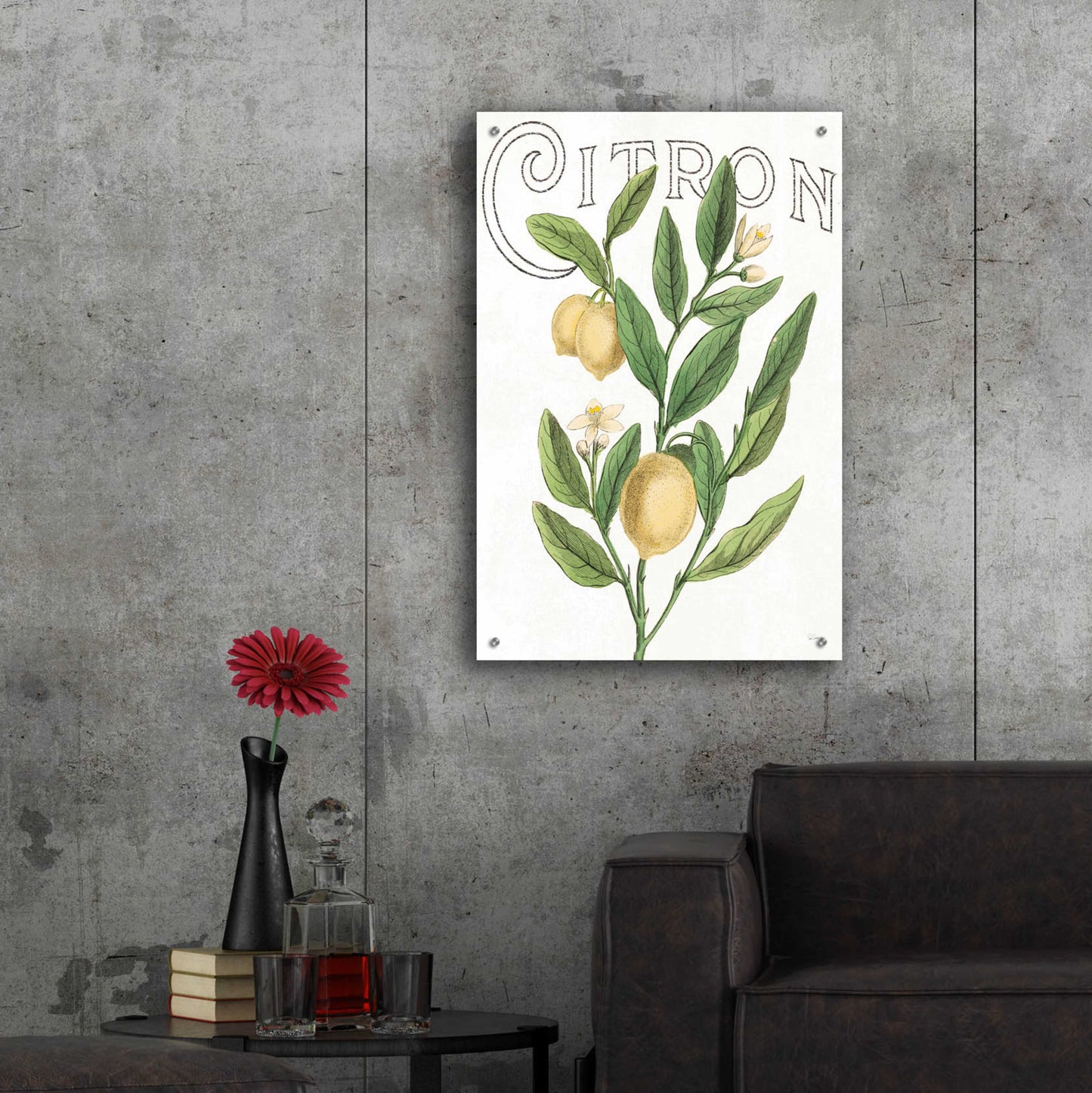 Epic Art 'Classic Citrus V Light' by Sue Schlabach, Acrylic Glass Wall Art,24x36