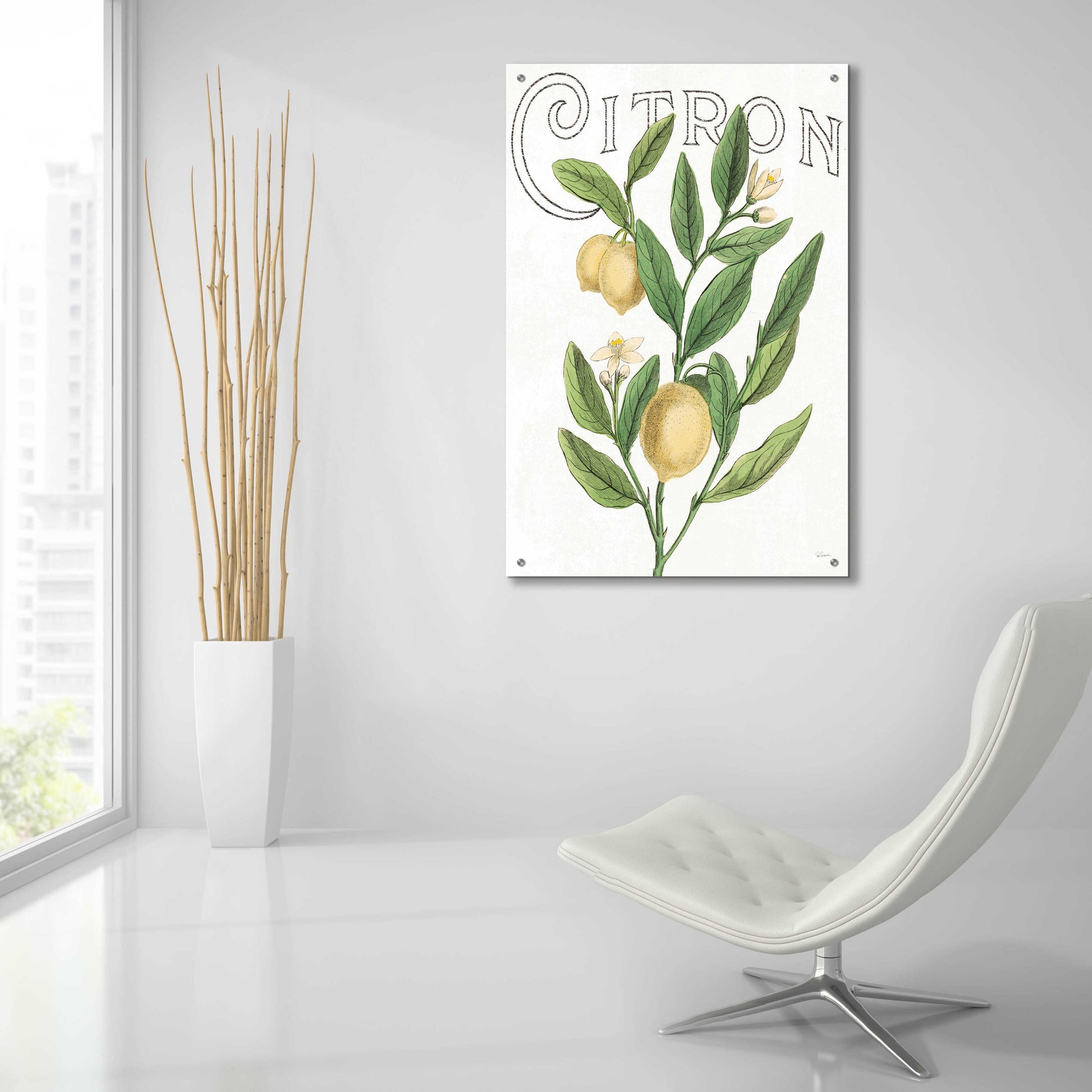 Epic Art 'Classic Citrus V Light' by Sue Schlabach, Acrylic Glass Wall Art,24x36