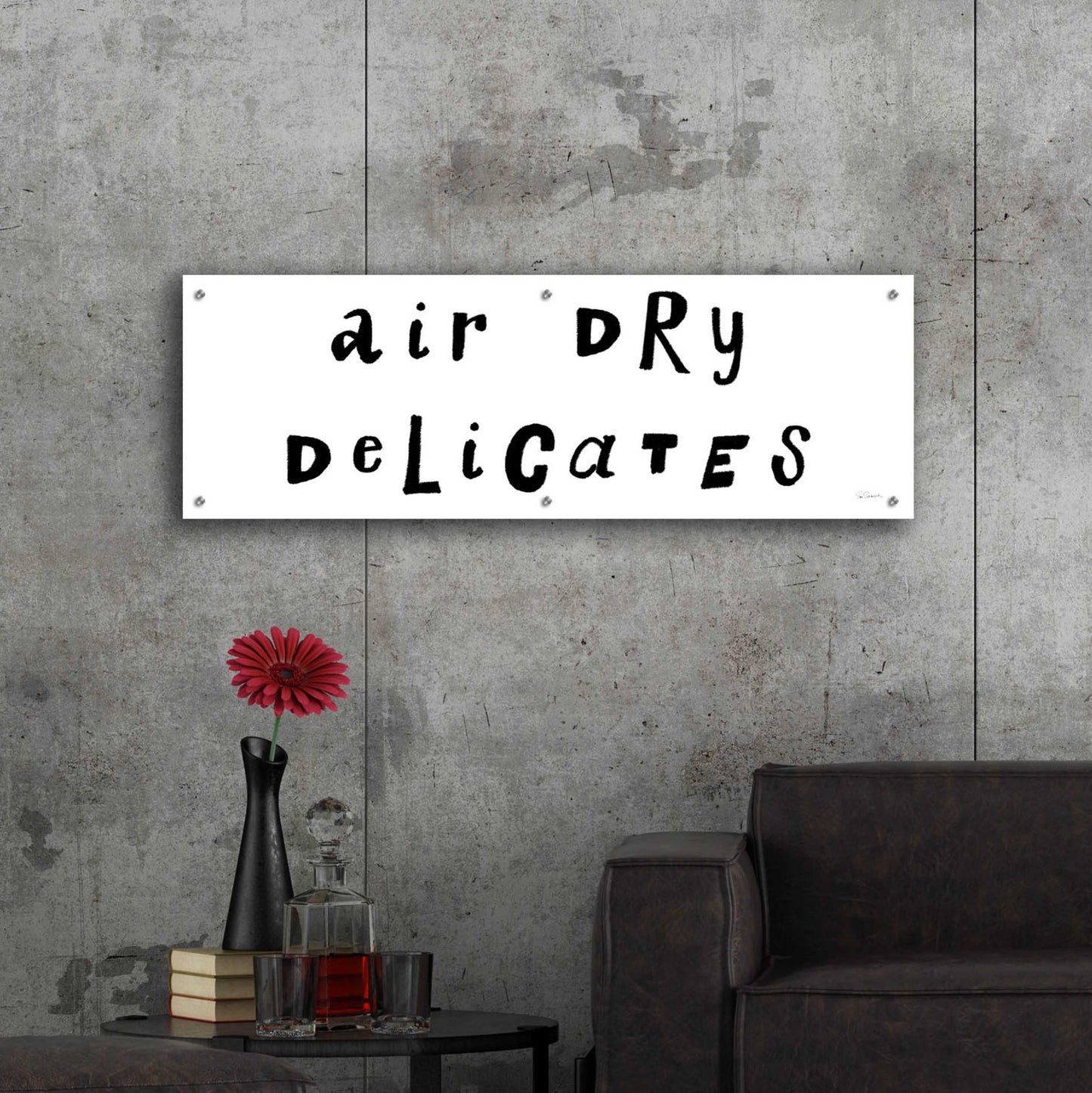 Epic Art 'Laundry Room Delicates' by Sue Schlabach, Acrylic Glass Wall Art,48x16