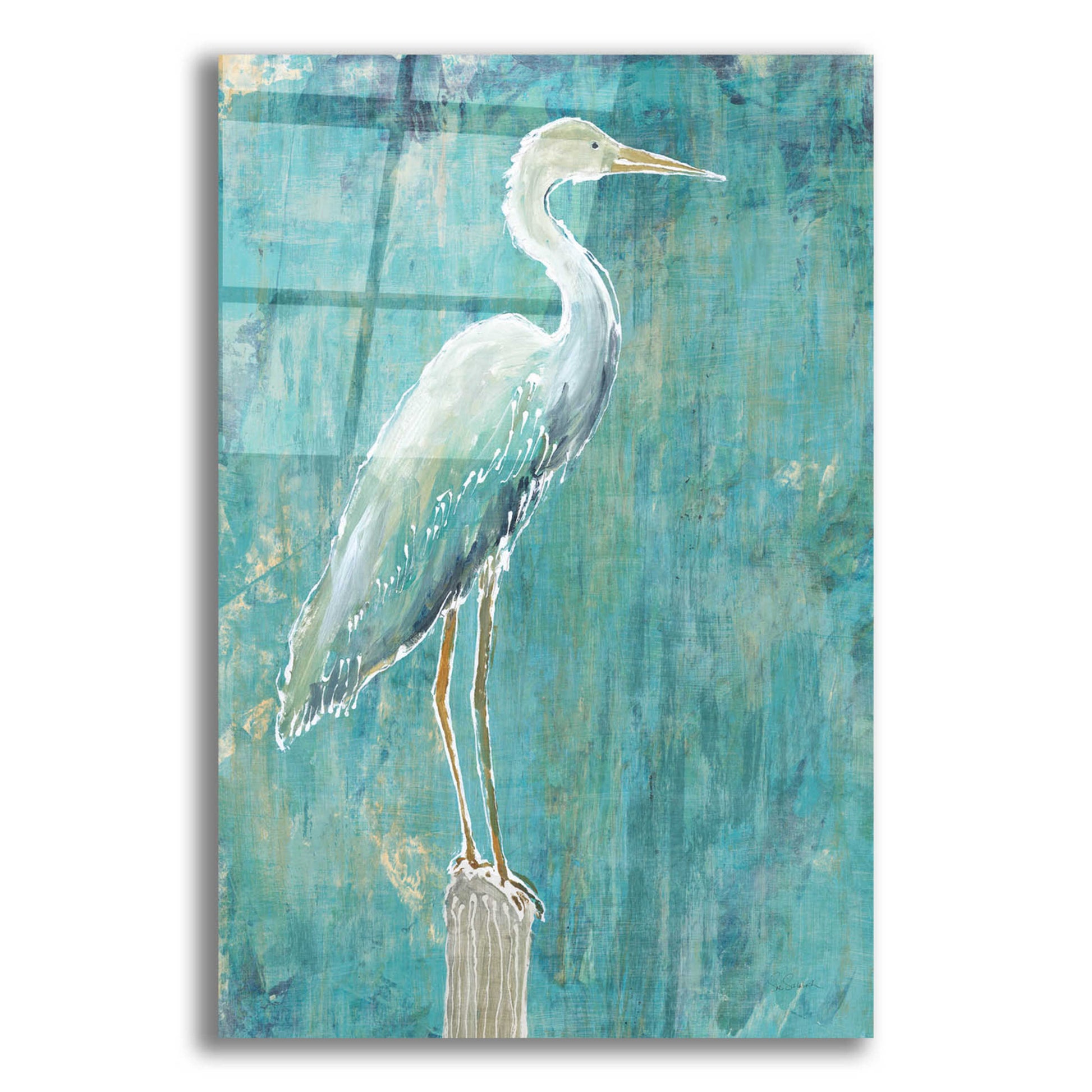 Epic Art 'Coastal Egret I Dark' by Sue Schlabach, Acrylic Glass Wall Art,12x16