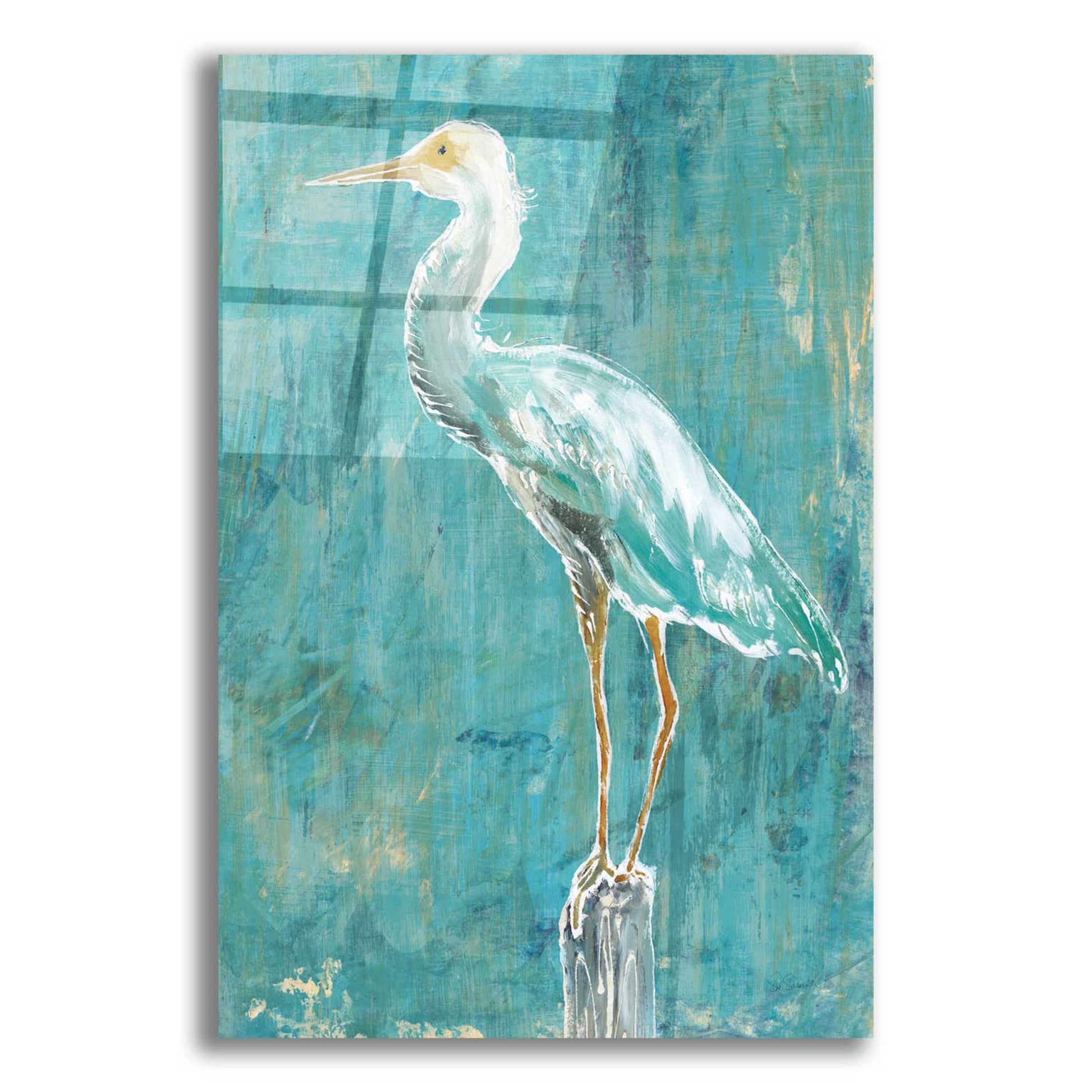 Epic Art 'Coastal Egret II Dark' by Sue Schlabach, Acrylic Glass Wall Art,12x16