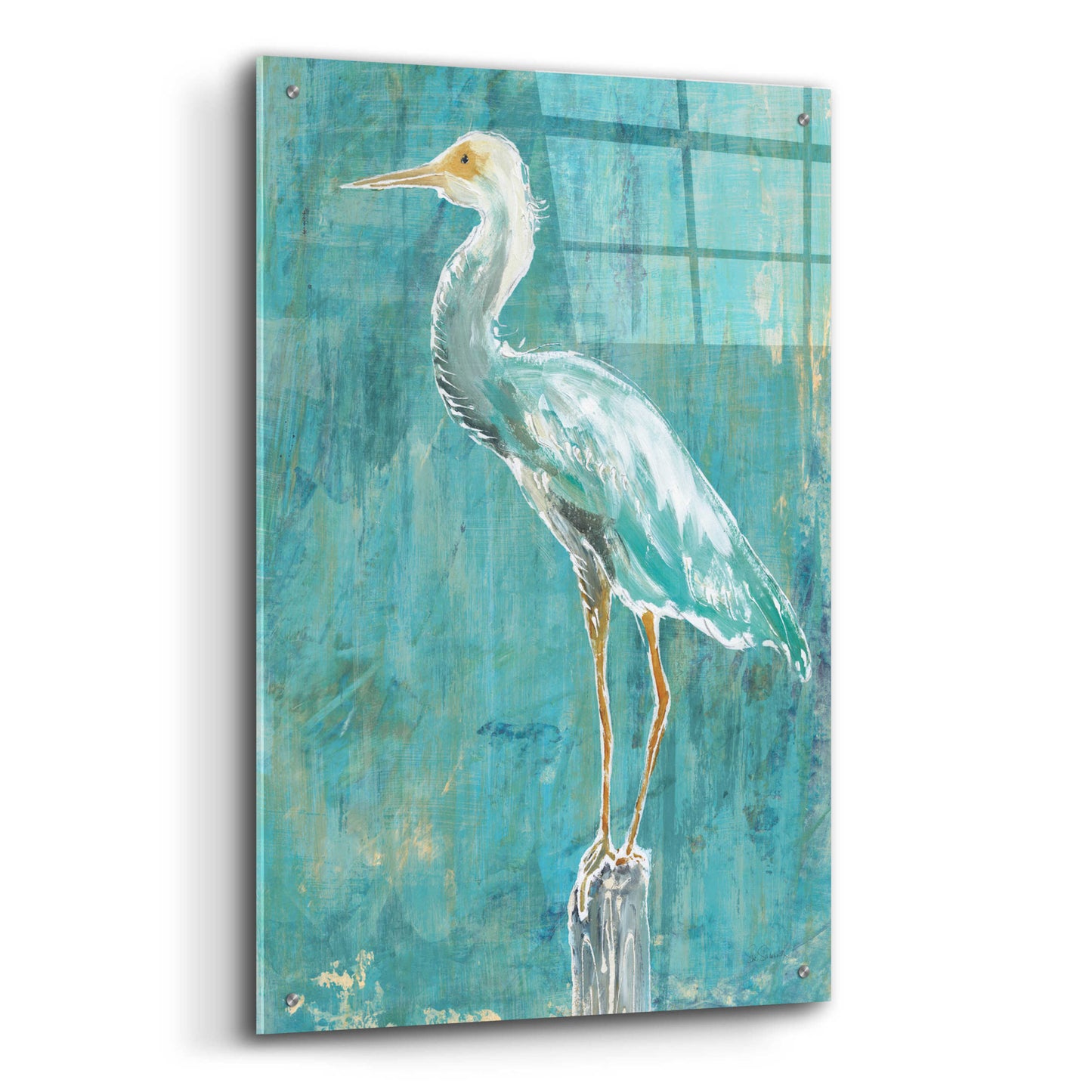 Epic Art 'Coastal Egret II Dark' by Sue Schlabach, Acrylic Glass Wall Art,24x36