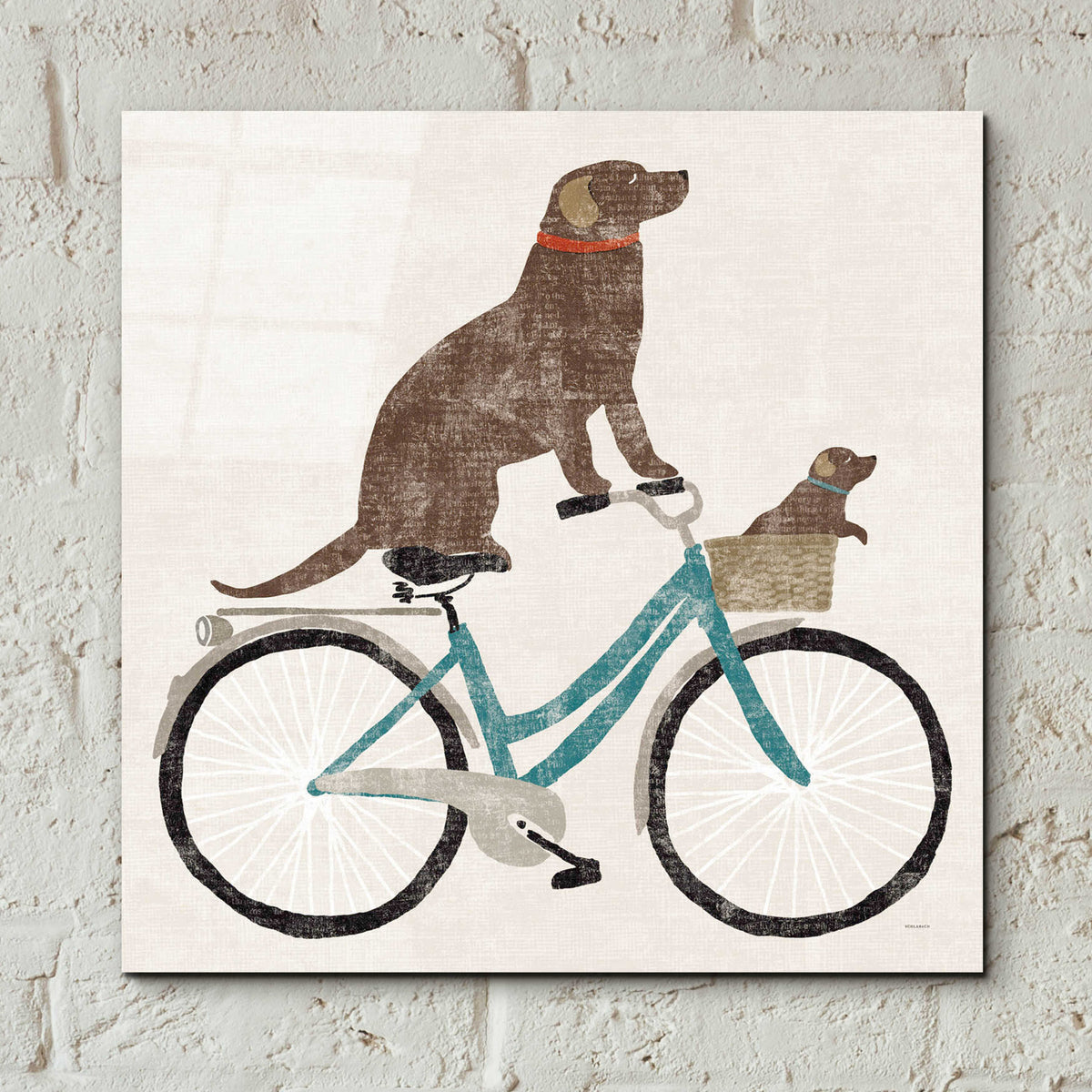 Epic Art 'Lab Ride' by Sue Schlabach, Acrylic Glass Wall Art,12x12