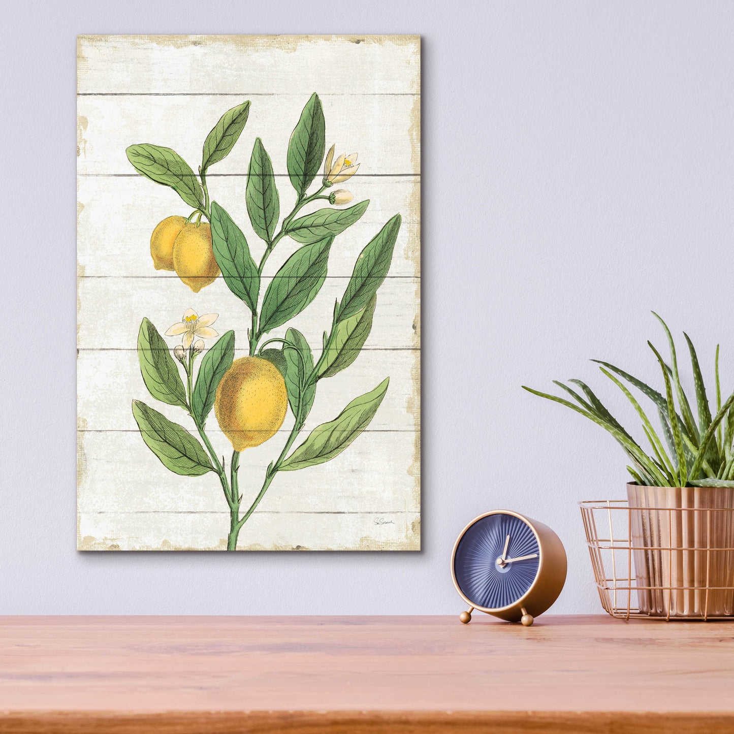 Epic Art 'Classic Citrus V Shiplap No Words' by Sue Schlabach, Acrylic Glass Wall Art,12x16