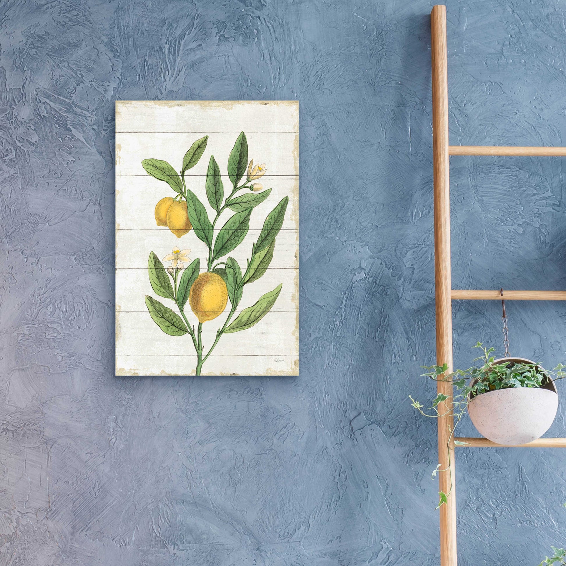 Epic Art 'Classic Citrus V Shiplap No Words' by Sue Schlabach, Acrylic Glass Wall Art,16x24