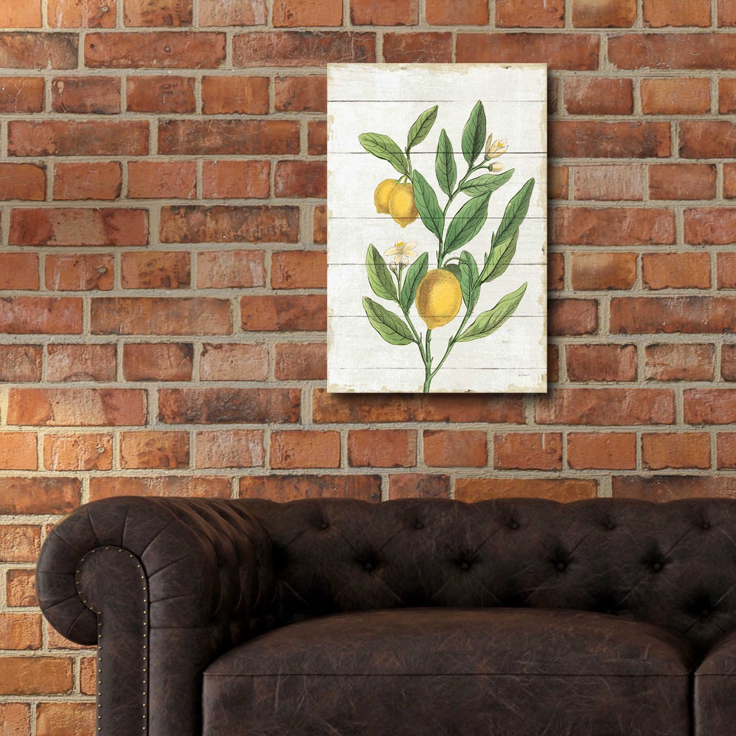 Epic Art 'Classic Citrus V Shiplap No Words' by Sue Schlabach, Acrylic Glass Wall Art,16x24