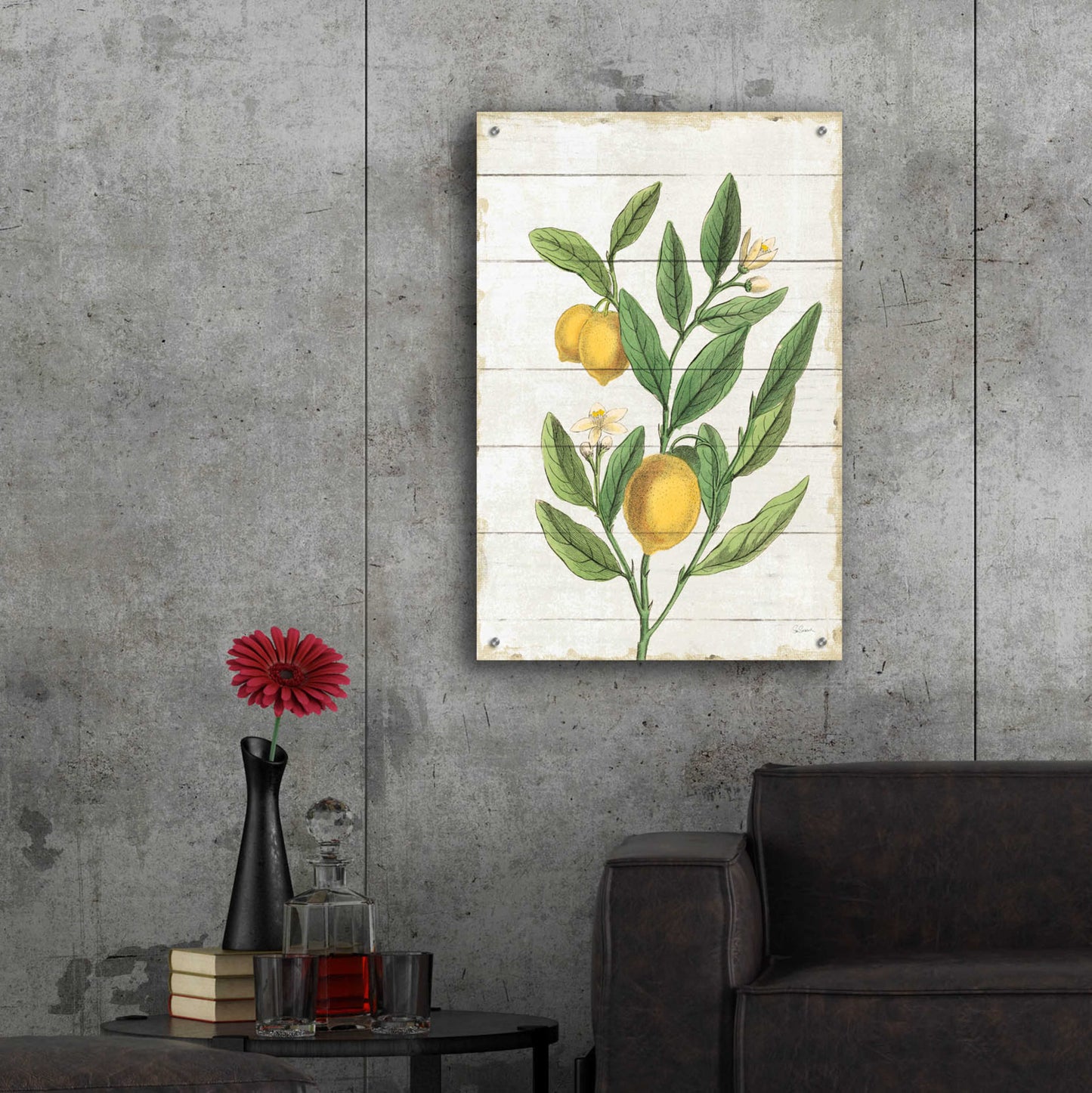 Epic Art 'Classic Citrus V Shiplap No Words' by Sue Schlabach, Acrylic Glass Wall Art,24x36