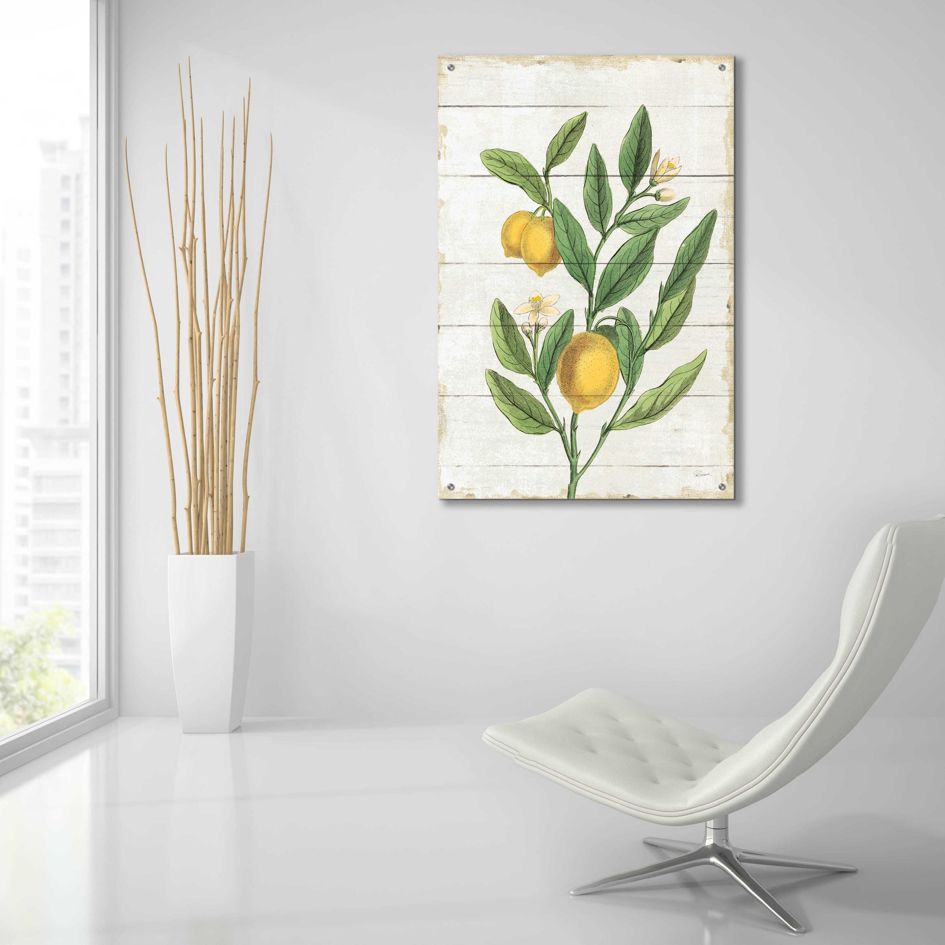 Epic Art 'Classic Citrus V Shiplap No Words' by Sue Schlabach, Acrylic Glass Wall Art,24x36