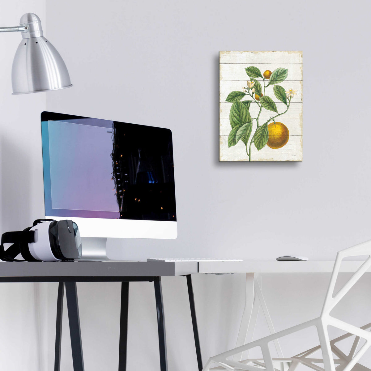 Epic Art 'Classic Citrus VI Shiplap No Words' by Sue Schlabach, Acrylic Glass Wall Art,12x16