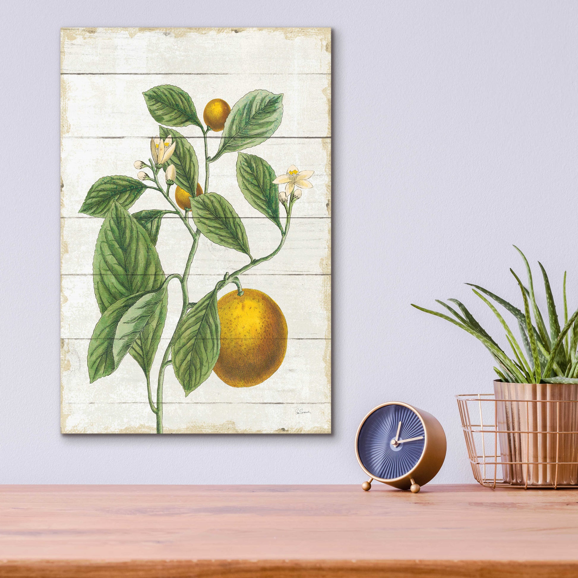 Epic Art 'Classic Citrus VI Shiplap No Words' by Sue Schlabach, Acrylic Glass Wall Art,12x16