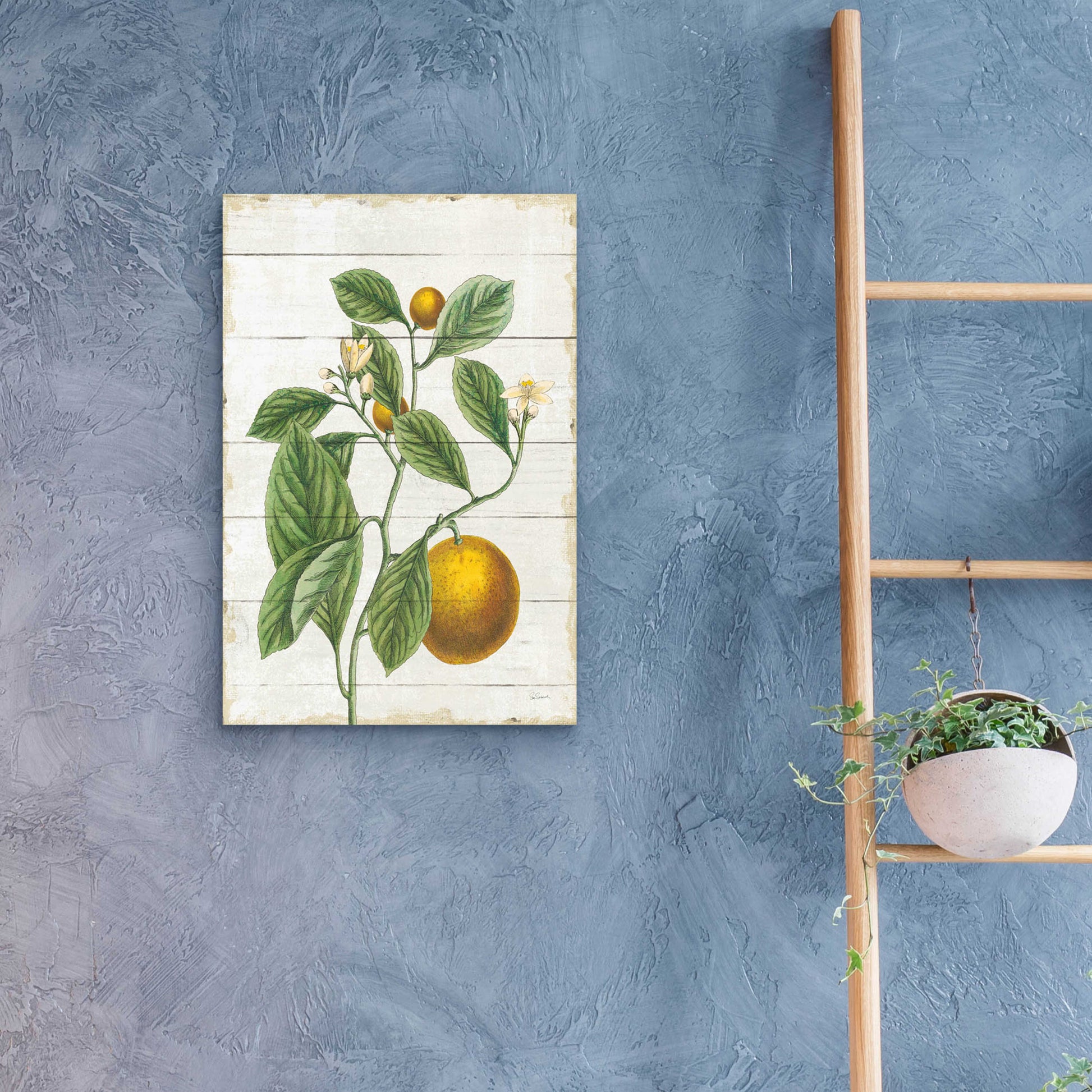 Epic Art 'Classic Citrus VI Shiplap No Words' by Sue Schlabach, Acrylic Glass Wall Art,16x24