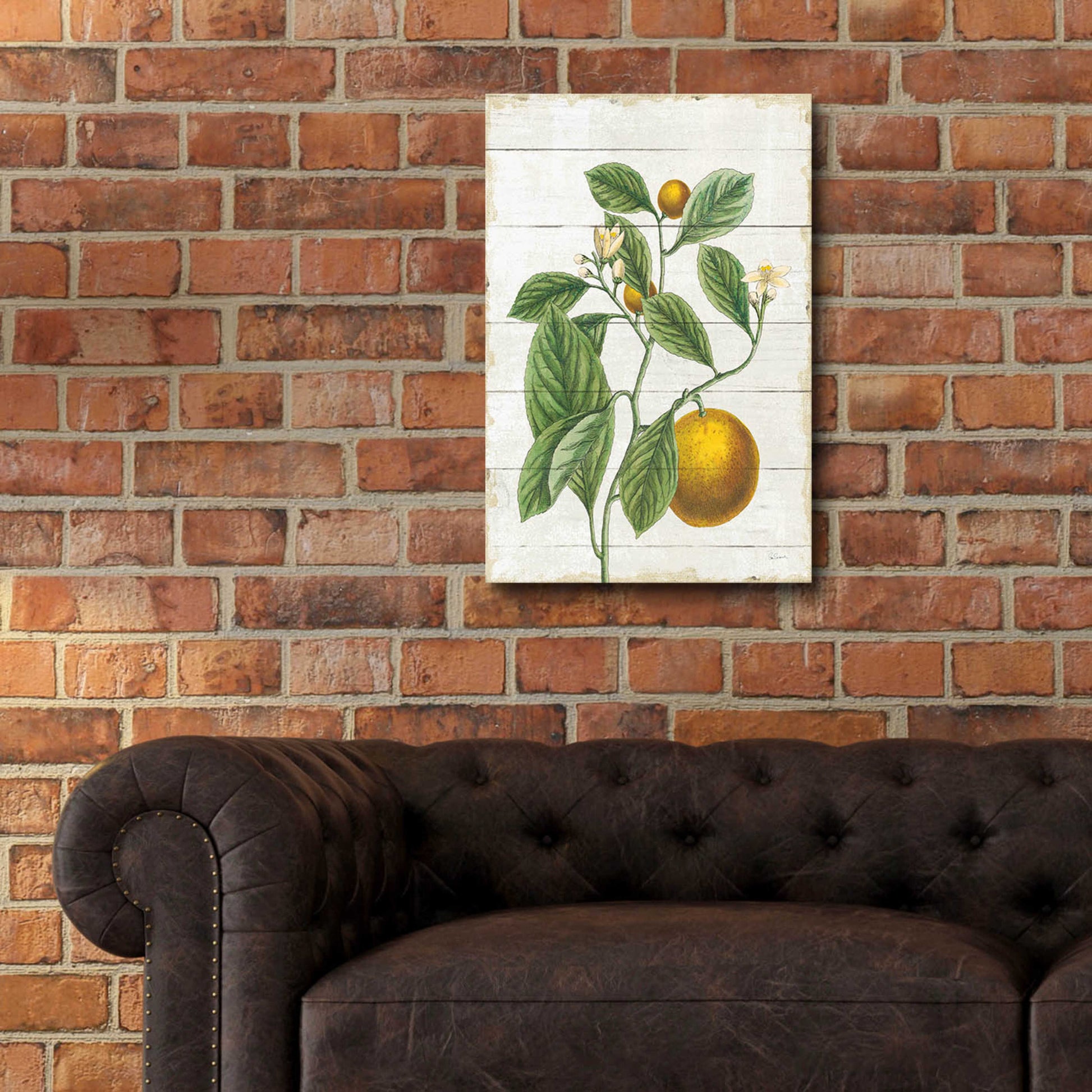 Epic Art 'Classic Citrus VI Shiplap No Words' by Sue Schlabach, Acrylic Glass Wall Art,16x24