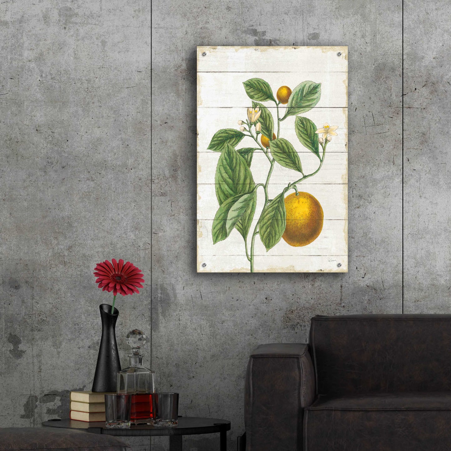 Epic Art 'Classic Citrus VI Shiplap No Words' by Sue Schlabach, Acrylic Glass Wall Art,24x36