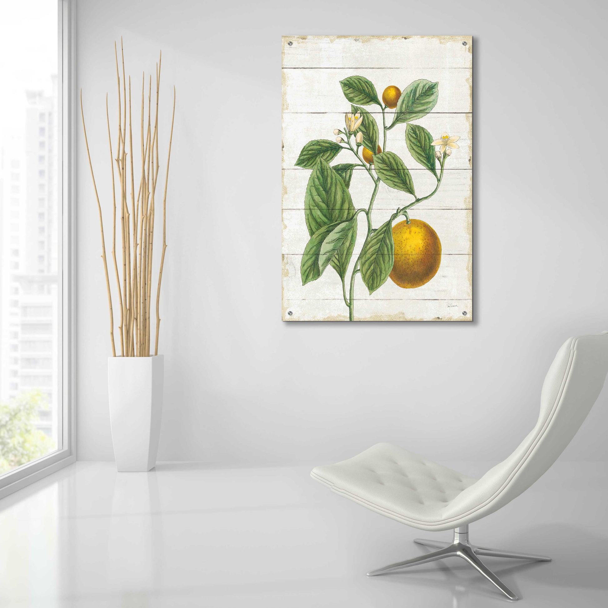 Epic Art 'Classic Citrus VI Shiplap No Words' by Sue Schlabach, Acrylic Glass Wall Art,24x36