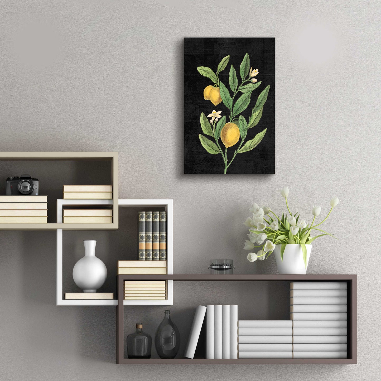 Epic Art 'Classic Citrus V Black No Words' by Sue Schlabach, Acrylic Glass Wall Art,16x24