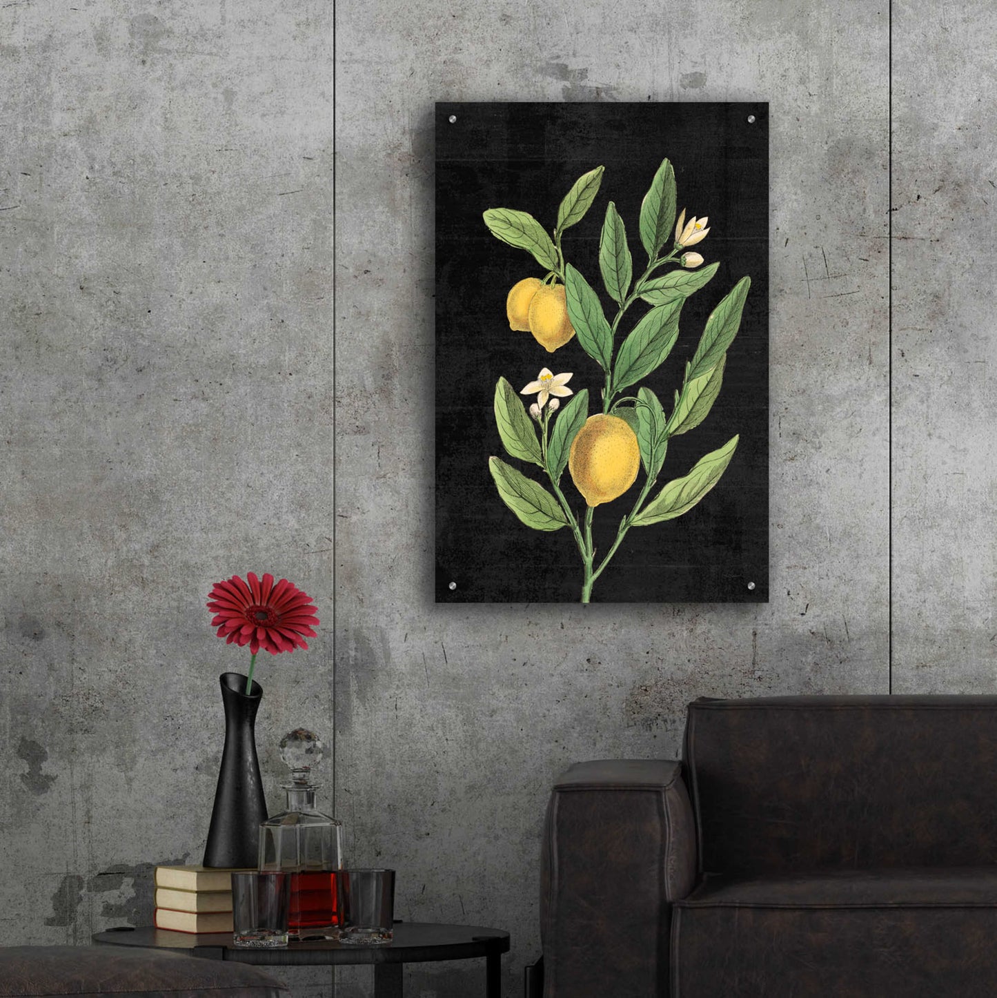 Epic Art 'Classic Citrus V Black No Words' by Sue Schlabach, Acrylic Glass Wall Art,24x36