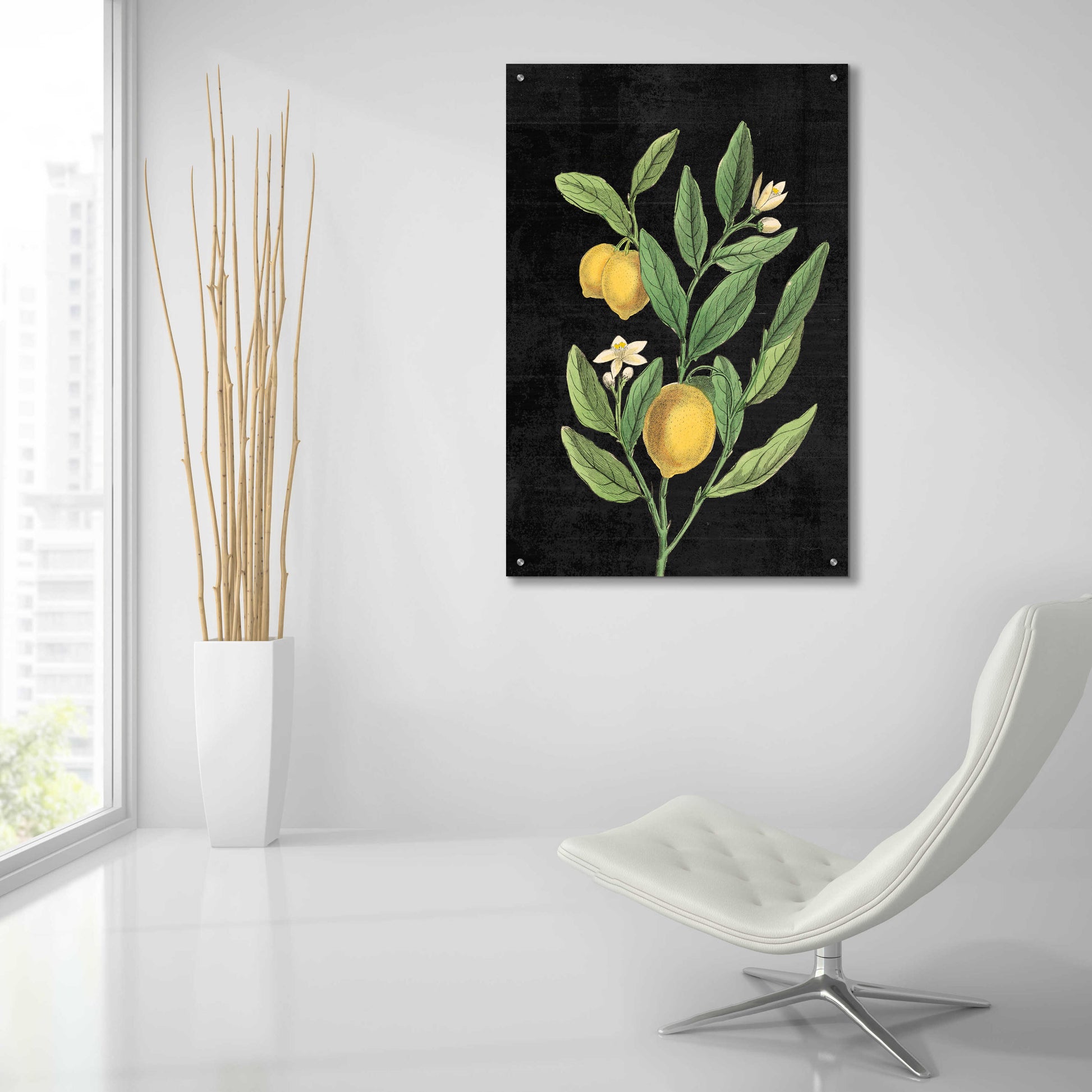 Epic Art 'Classic Citrus V Black No Words' by Sue Schlabach, Acrylic Glass Wall Art,24x36