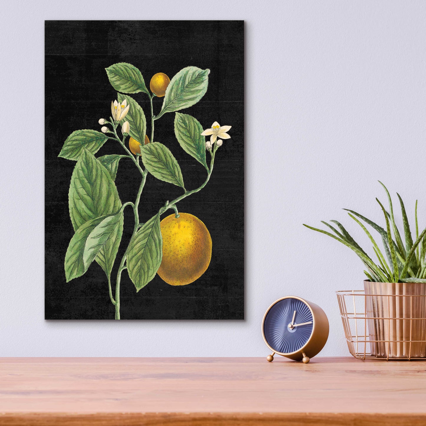 Epic Art 'Classic Citrus VI Black No Words' by Sue Schlabach, Acrylic Glass Wall Art,12x16