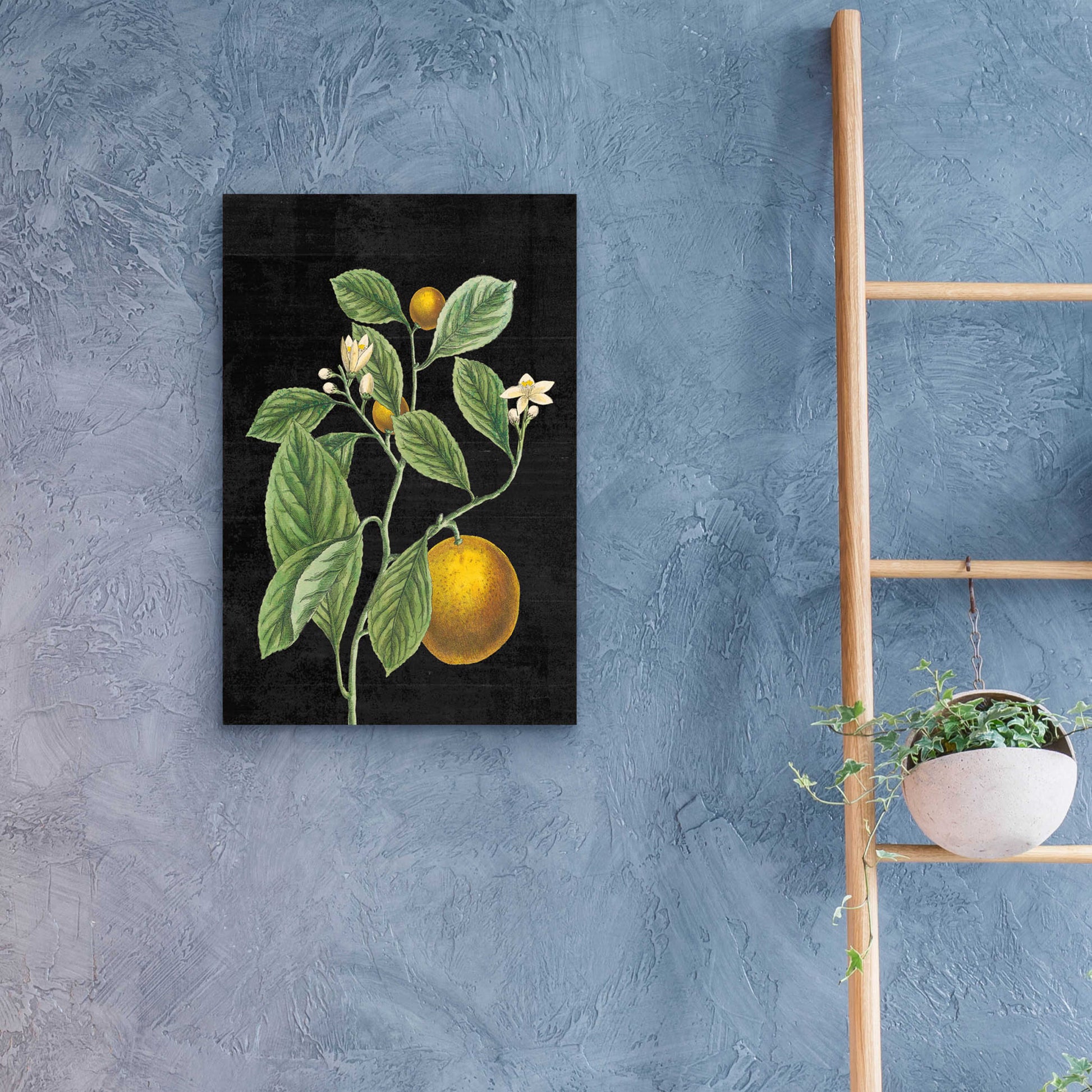 Epic Art 'Classic Citrus VI Black No Words' by Sue Schlabach, Acrylic Glass Wall Art,16x24