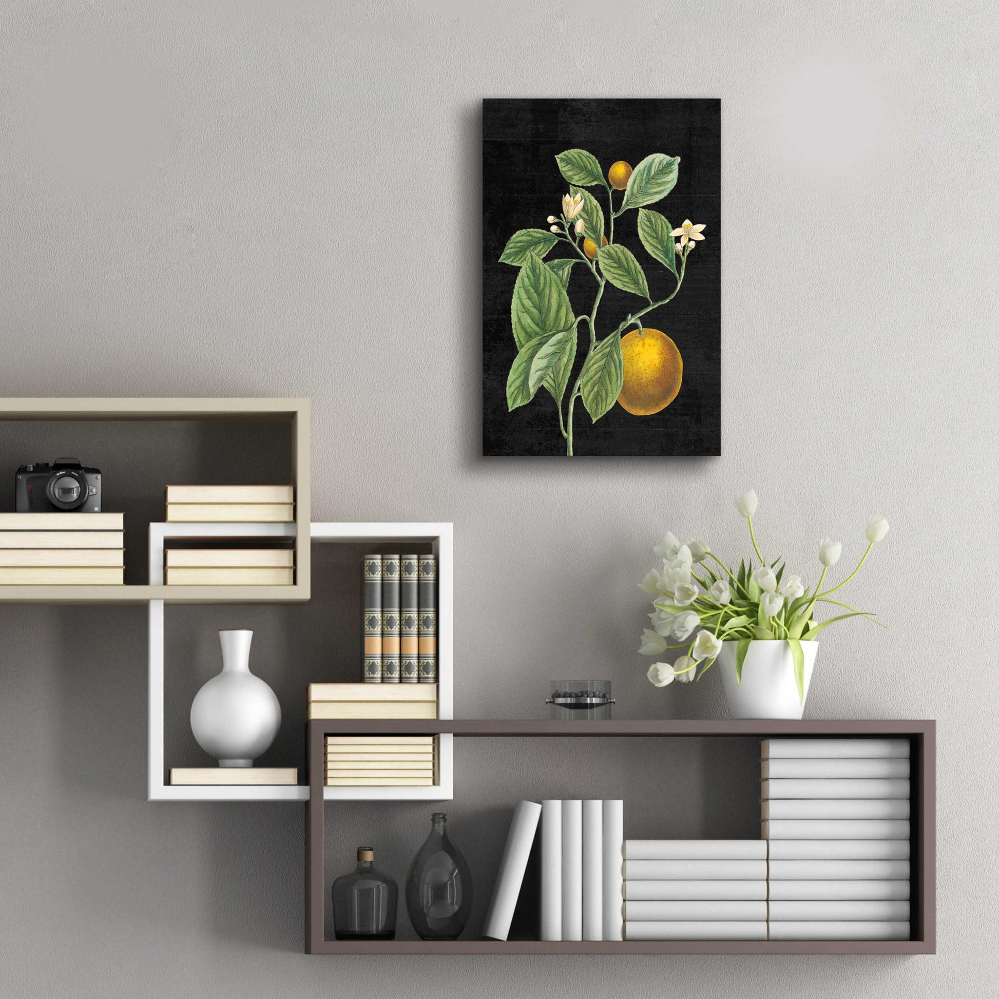 Epic Art 'Classic Citrus VI Black No Words' by Sue Schlabach, Acrylic Glass Wall Art,16x24