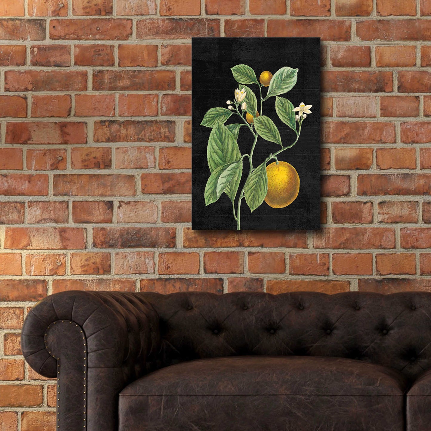 Epic Art 'Classic Citrus VI Black No Words' by Sue Schlabach, Acrylic Glass Wall Art,16x24