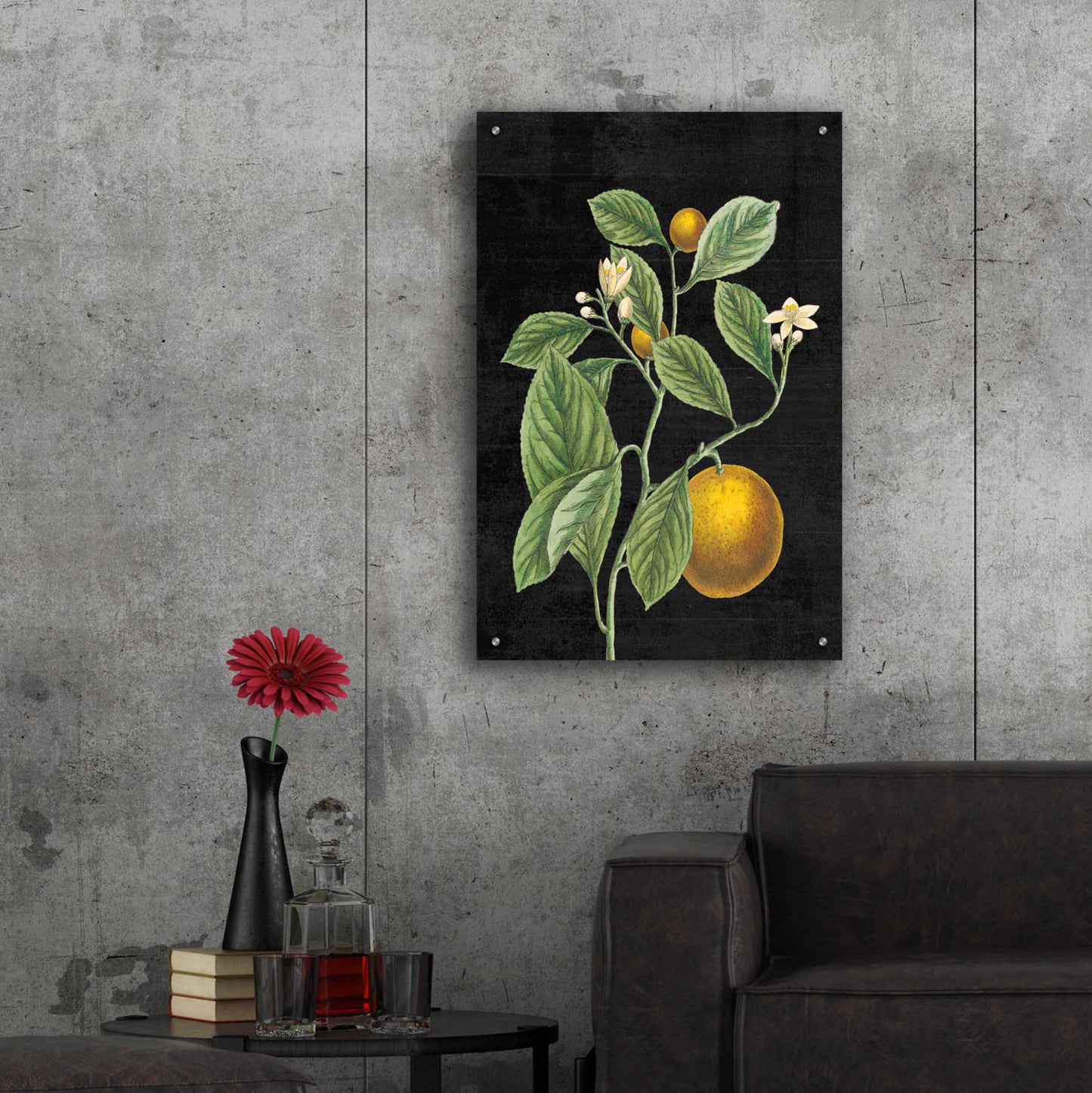 Epic Art 'Classic Citrus VI Black No Words' by Sue Schlabach, Acrylic Glass Wall Art,24x36