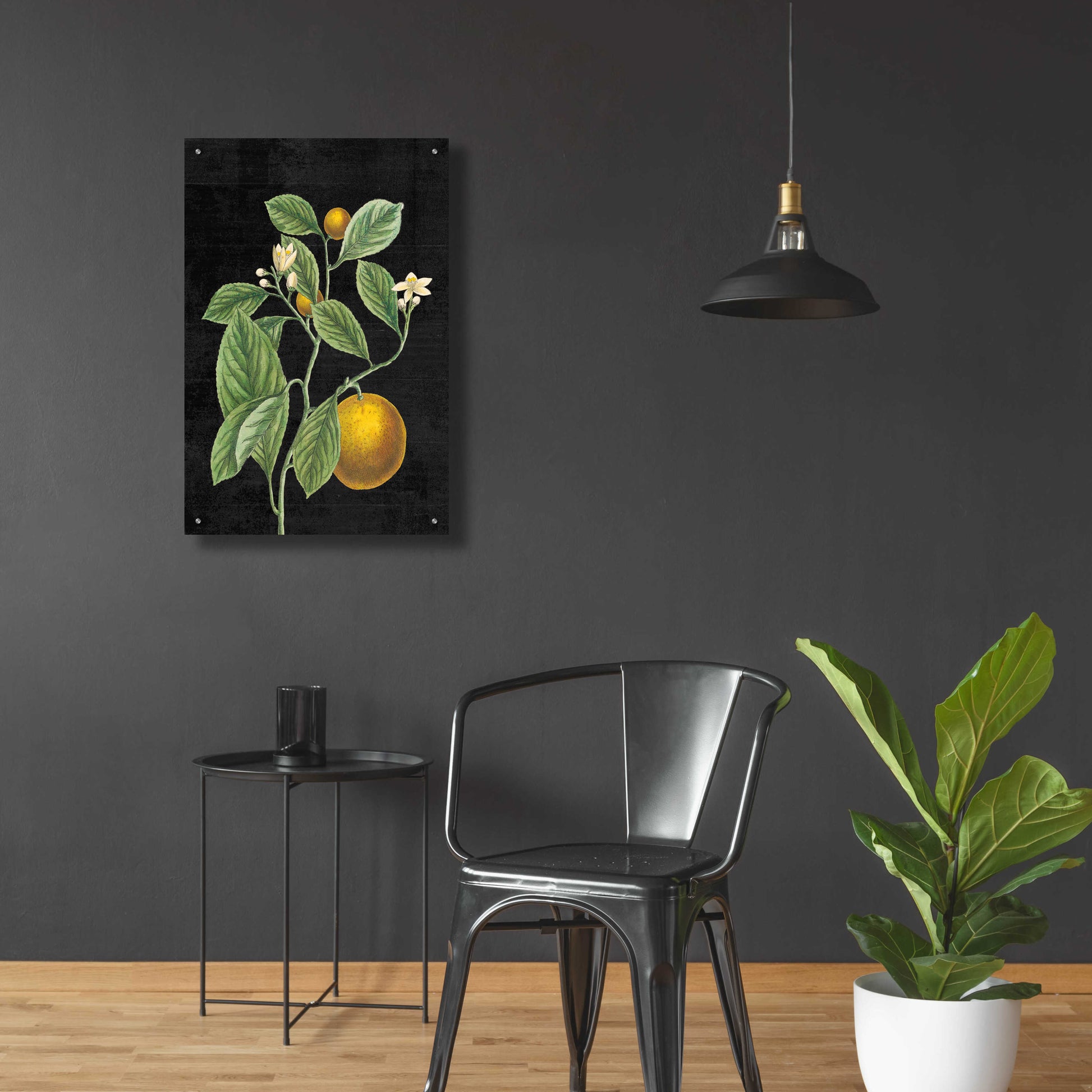 Epic Art 'Classic Citrus VI Black No Words' by Sue Schlabach, Acrylic Glass Wall Art,24x36