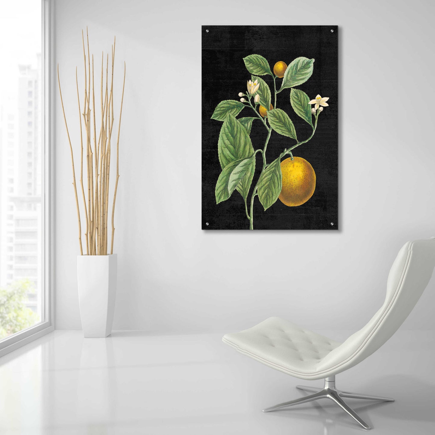 Epic Art 'Classic Citrus VI Black No Words' by Sue Schlabach, Acrylic Glass Wall Art,24x36