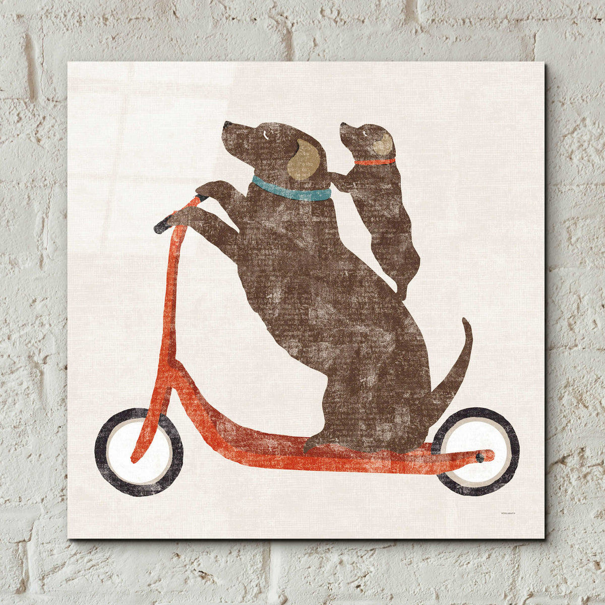 Epic Art 'Lab Scooter Ride' by Sue Schlabach, Acrylic Glass Wall Art,12x12